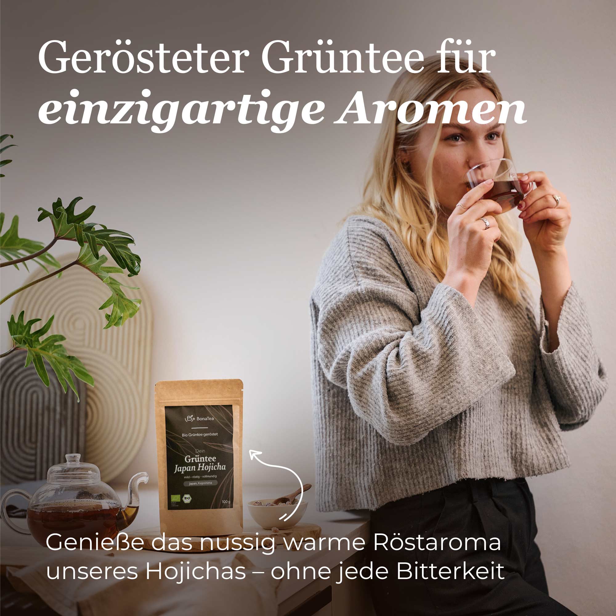 Dein Grüntee Japan Hojicha