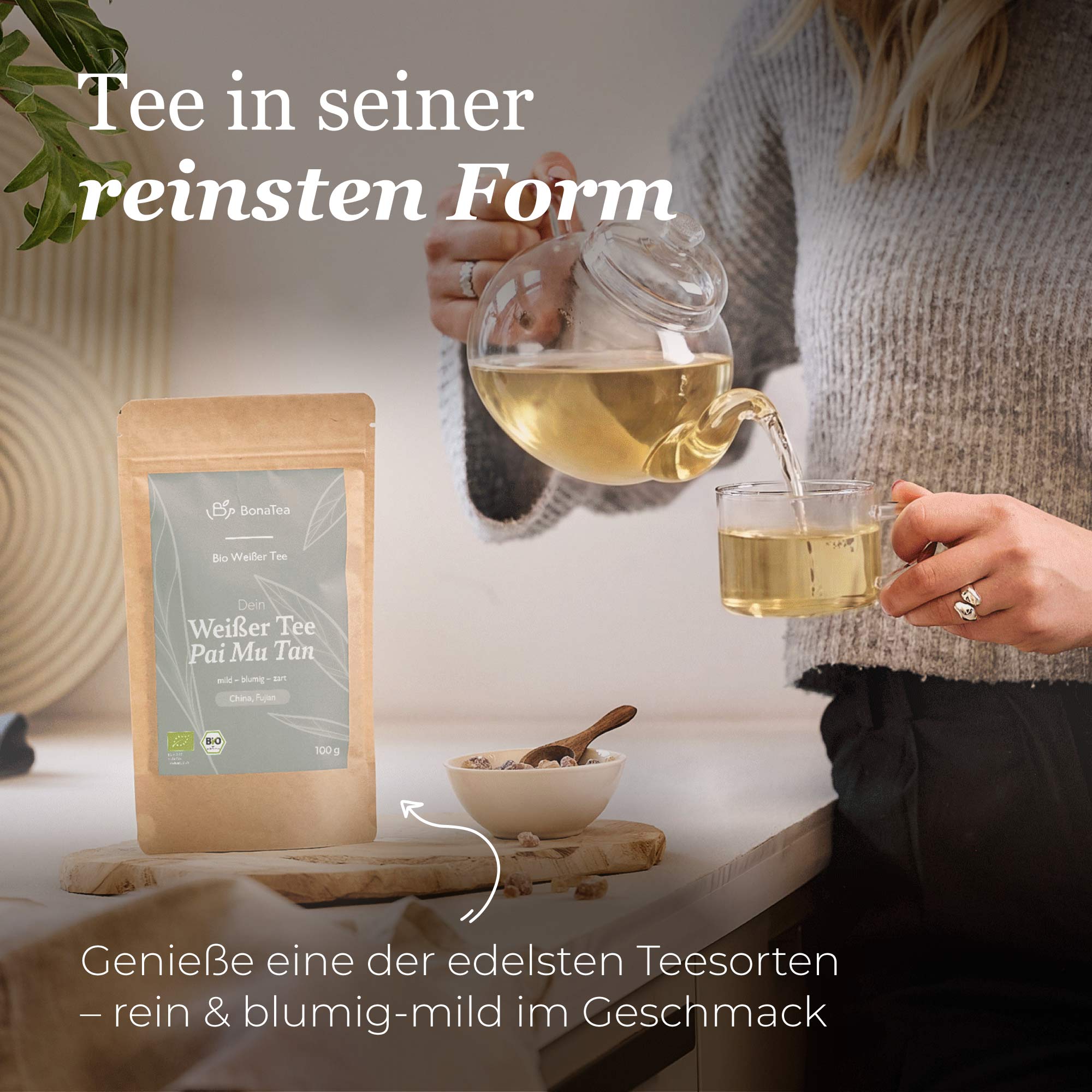 Dein Weißer Tee Pai Mu Tan