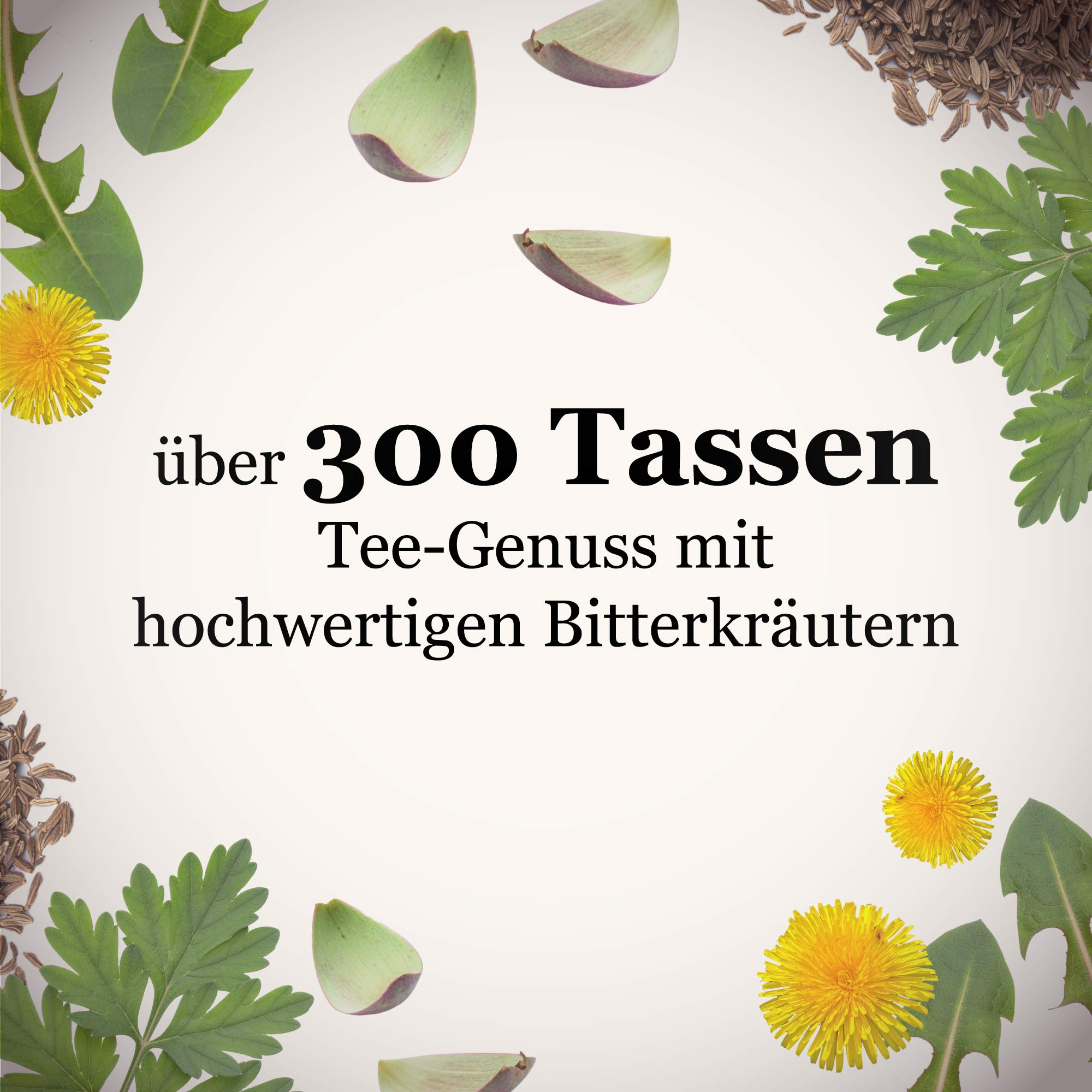 Dein Bittertee Starterset