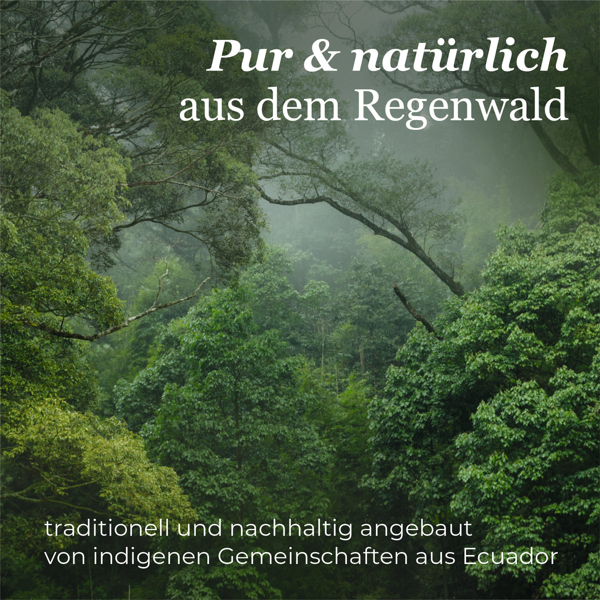 #Variante_schwarz
