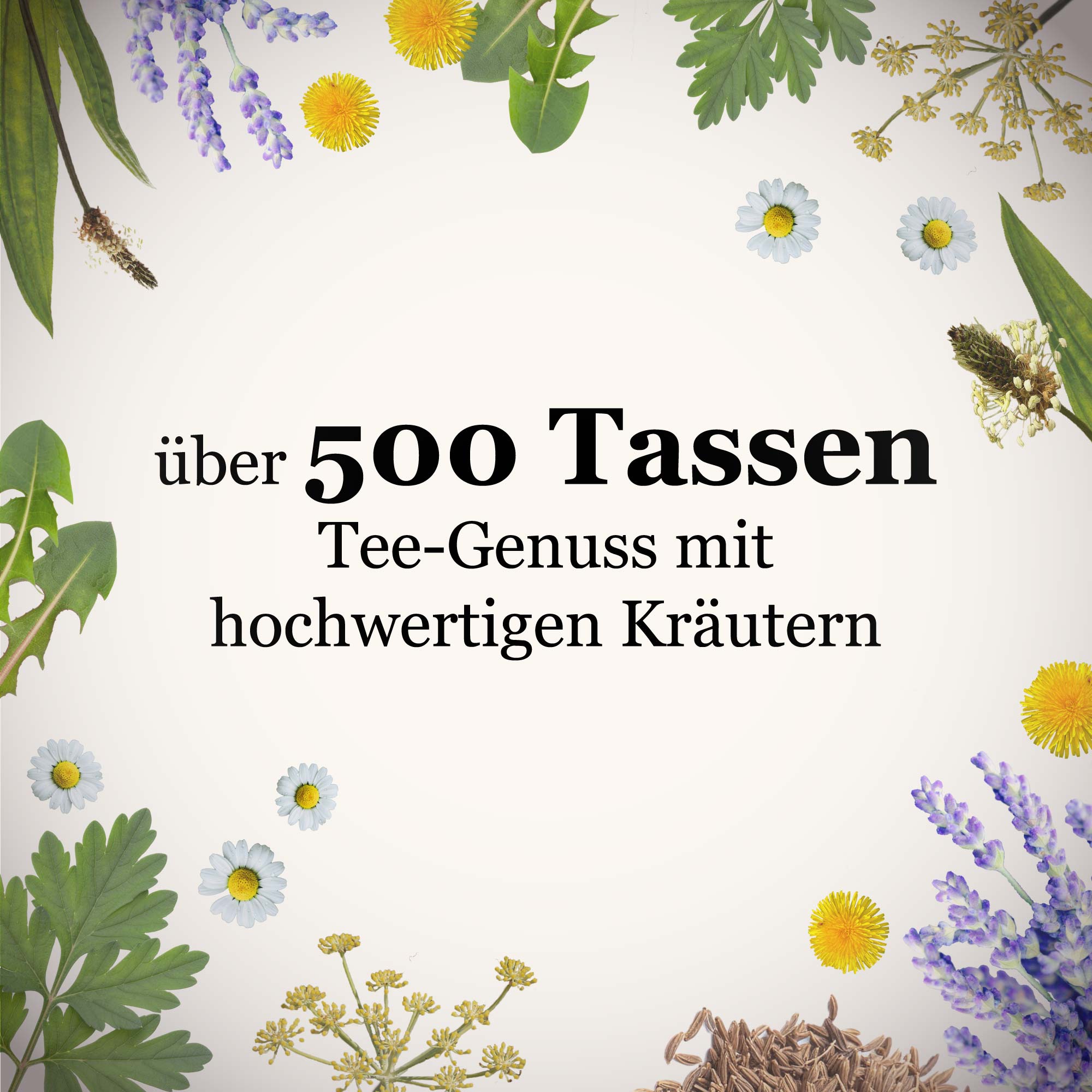 Dein BonaTea Bestseller Set