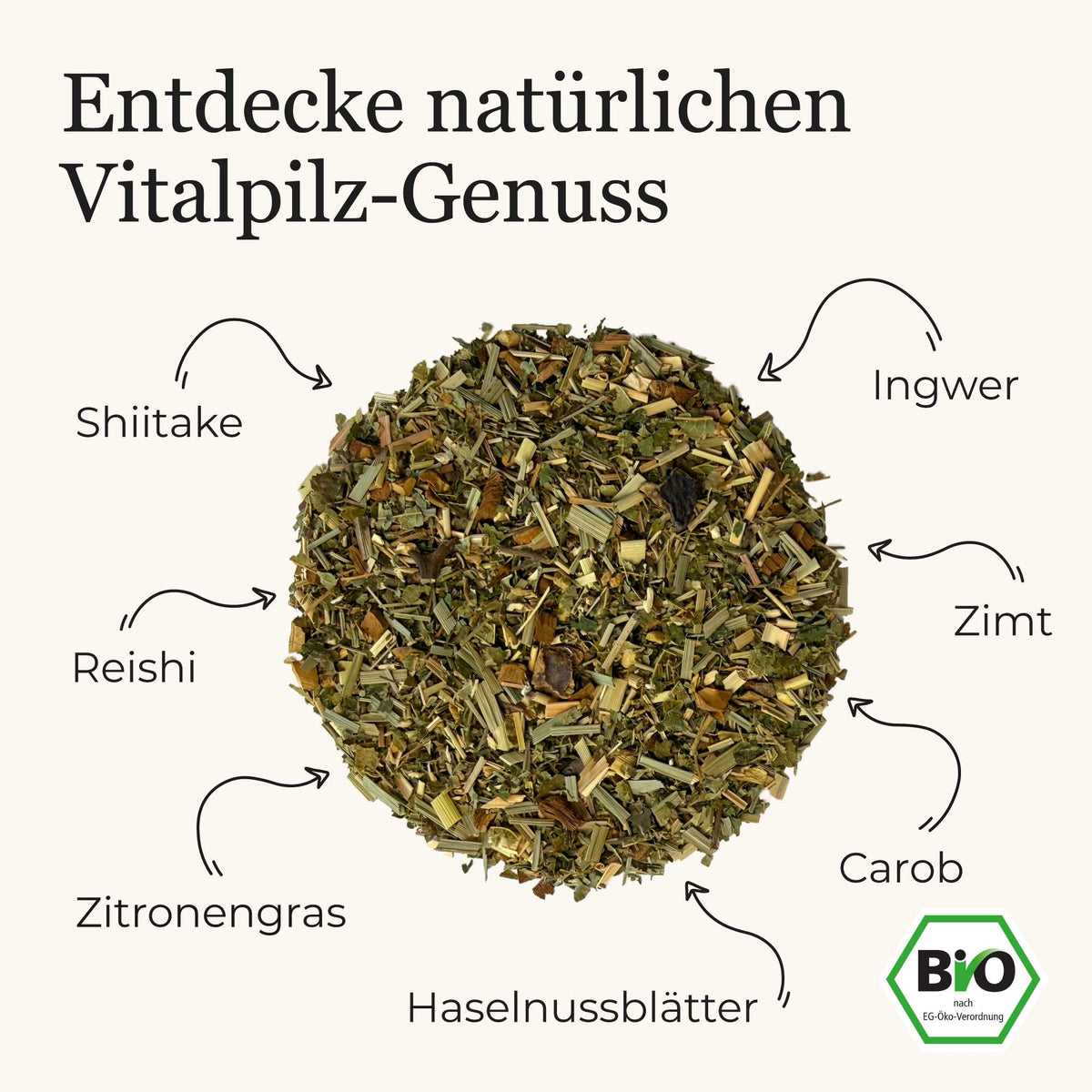 Deine Vitalpilz Teemischung