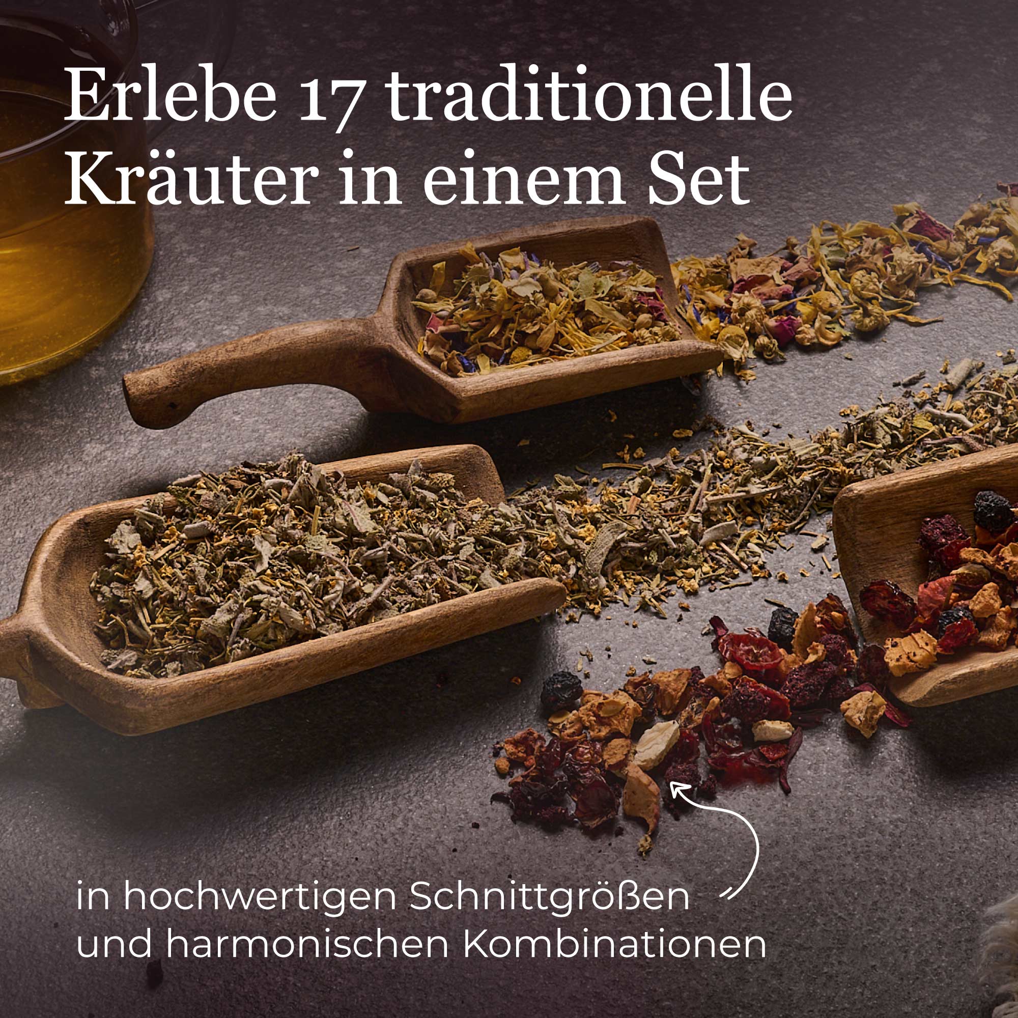 Dein Kalte Jahreszeit Set