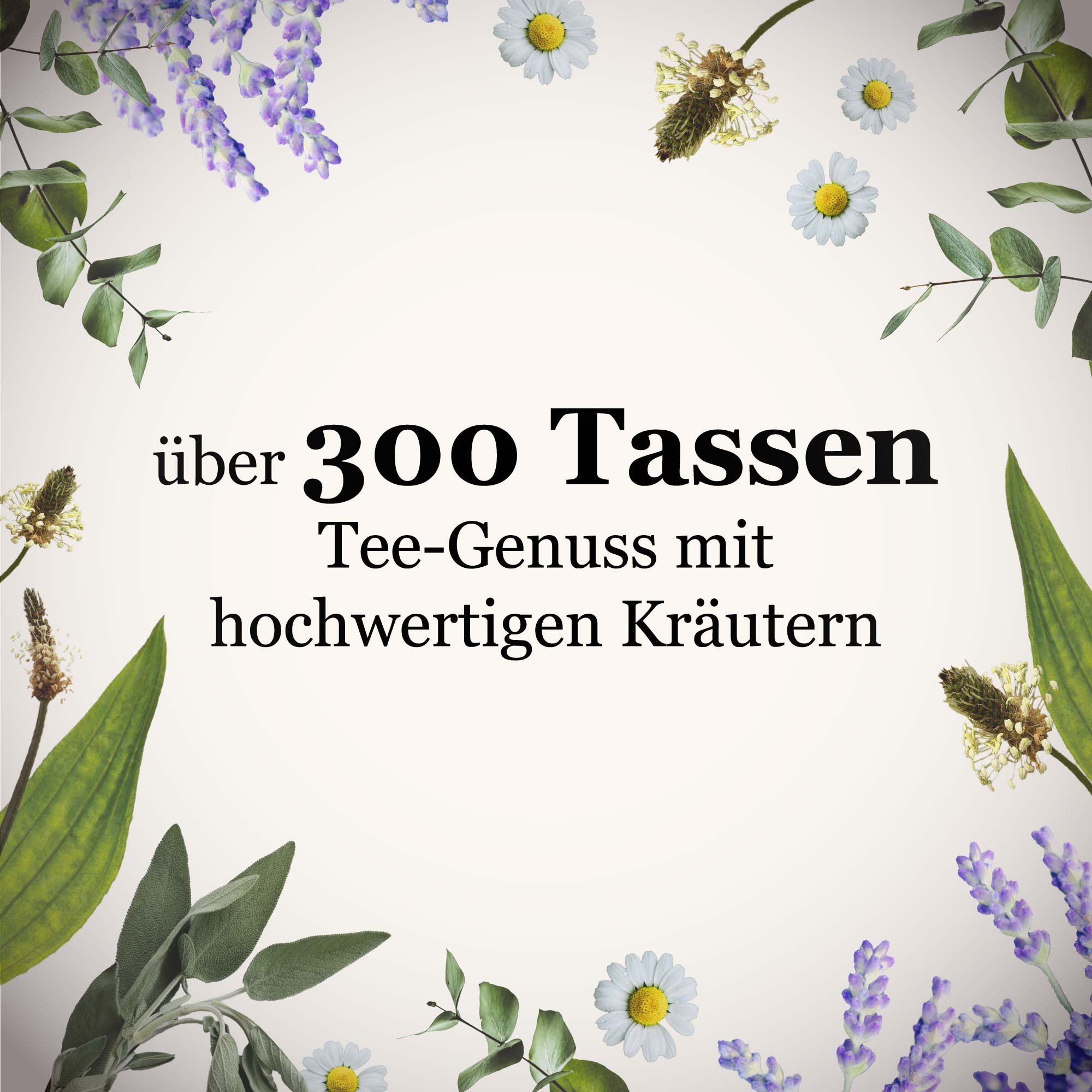 Dein Kalte Jahreszeit Set