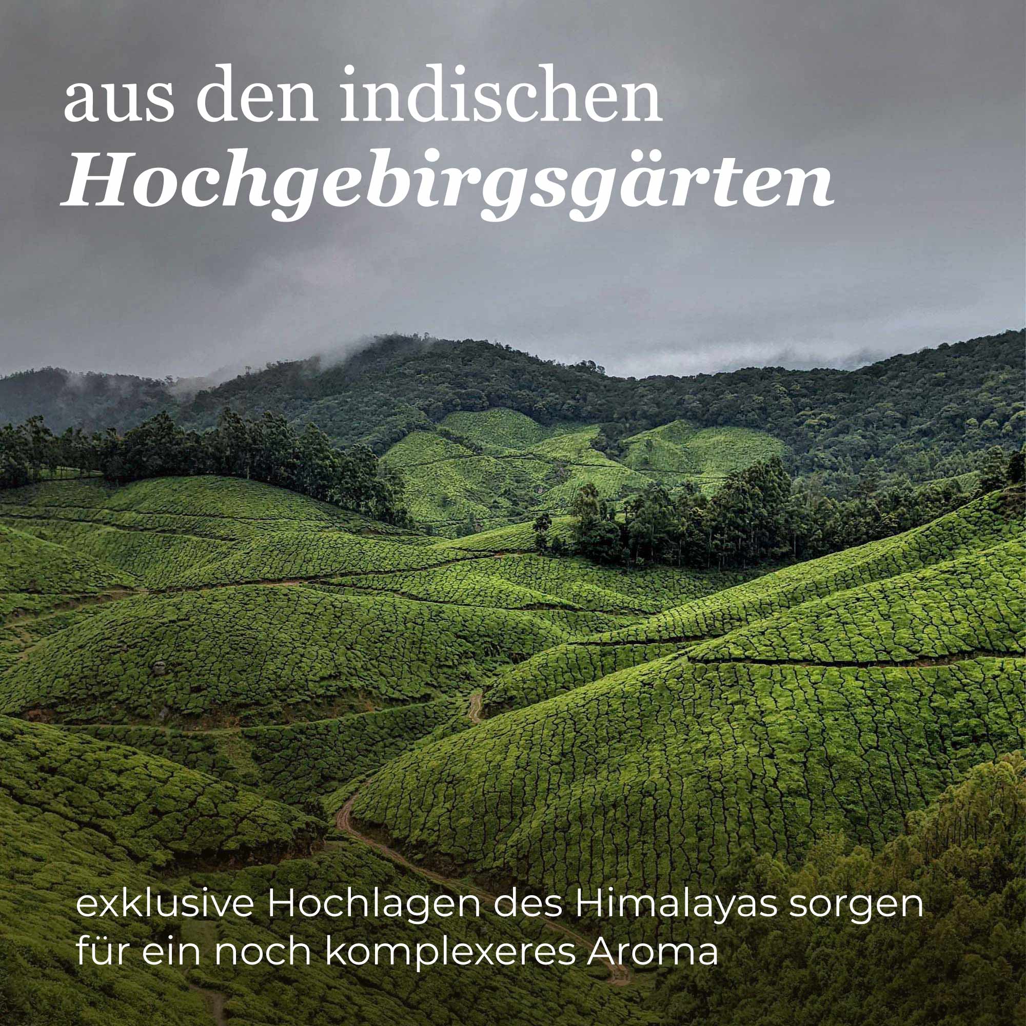 Dein Schwarztee Dajeeling
