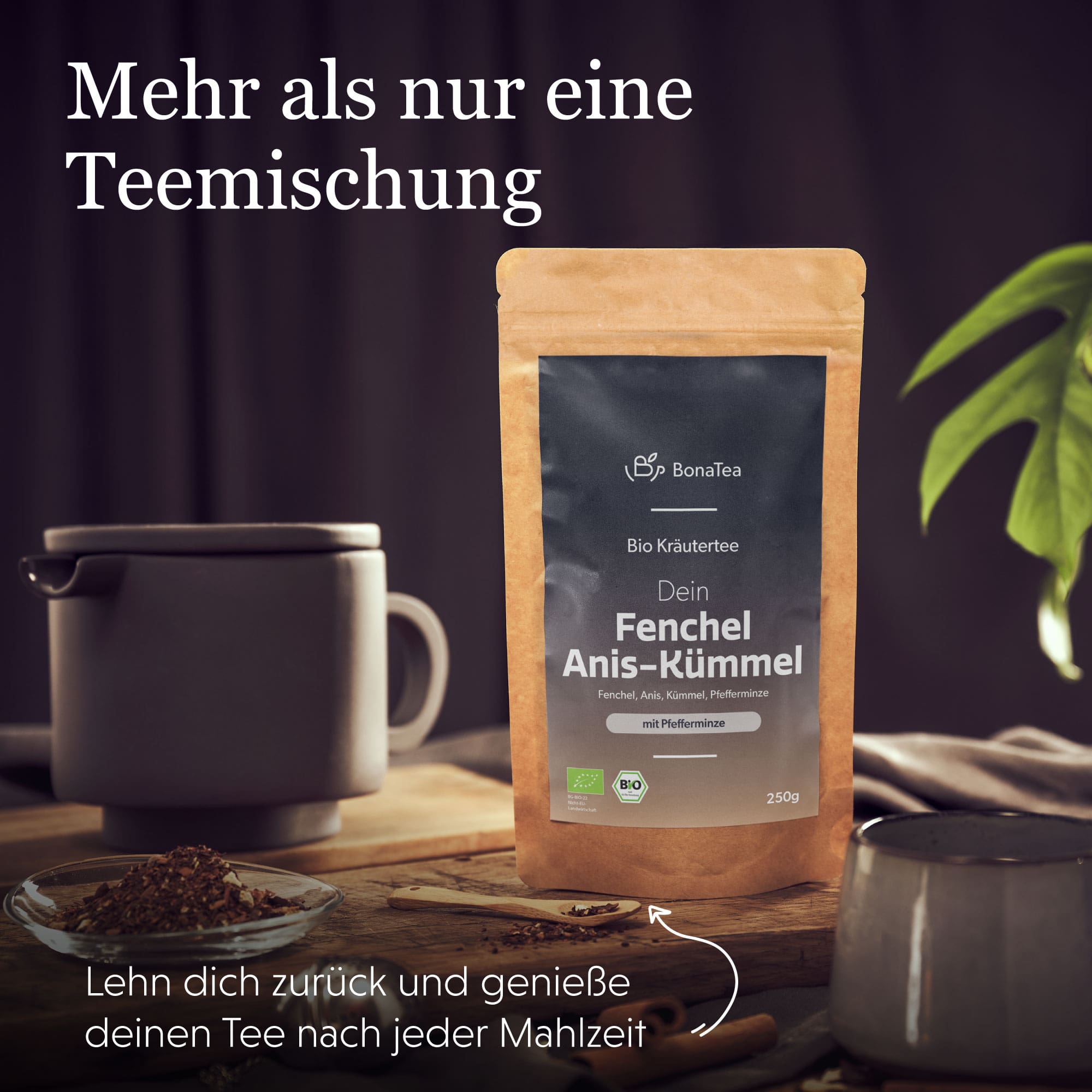 Dein Fenchel-Anis-Kümmel