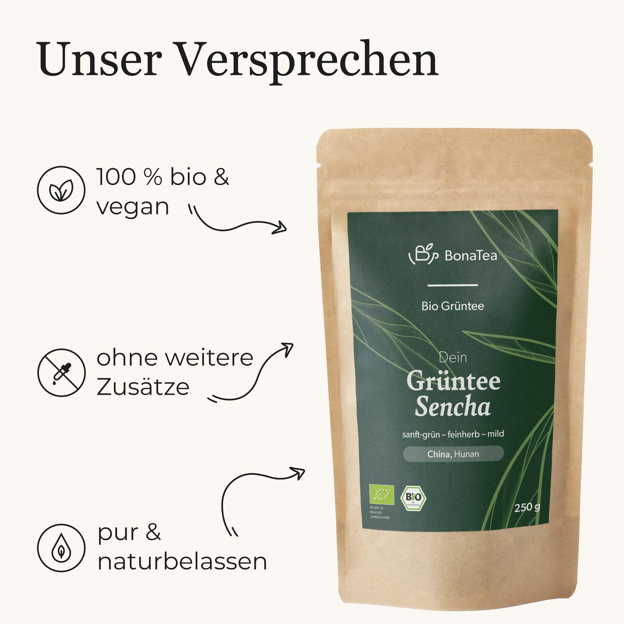 Dein Grüntee Sencha