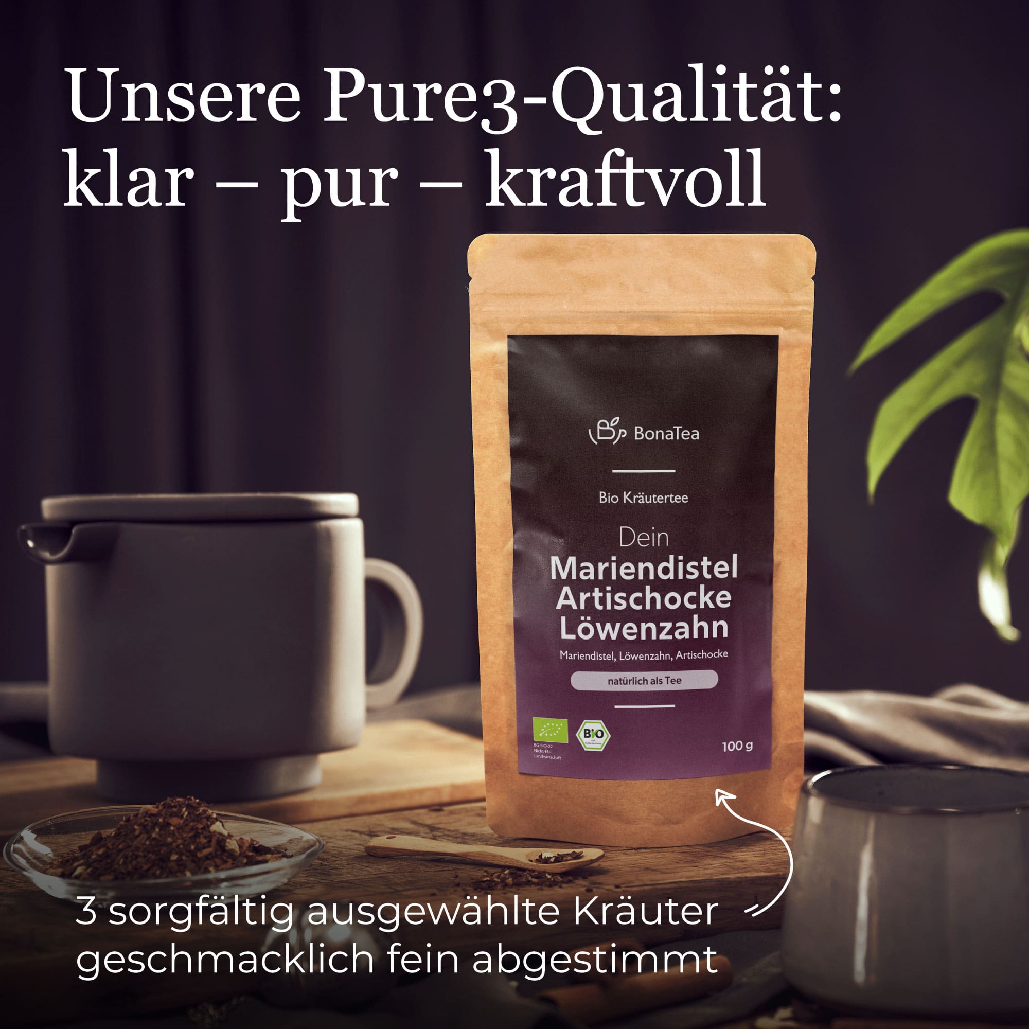 Dein Mariendistel Artischocke Löwenzahn