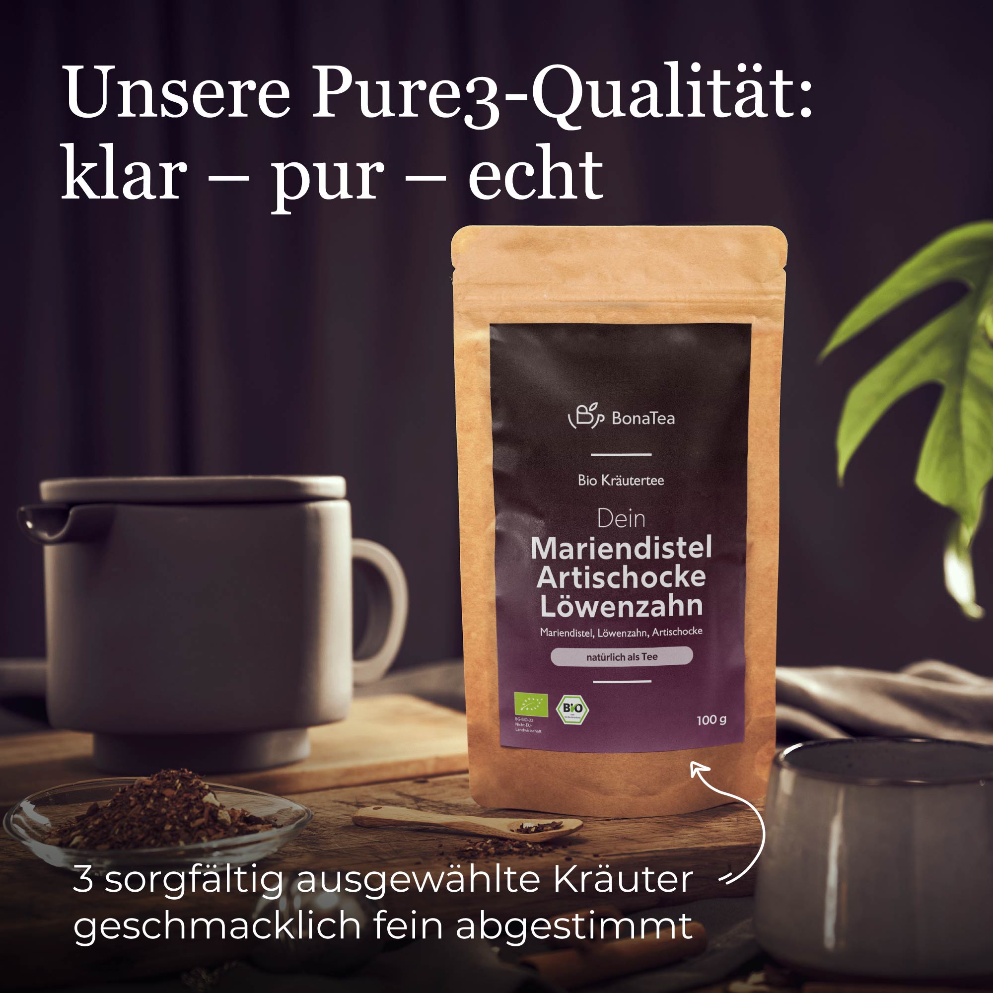 Dein Mariendistel Artischocke Löwenzahn
