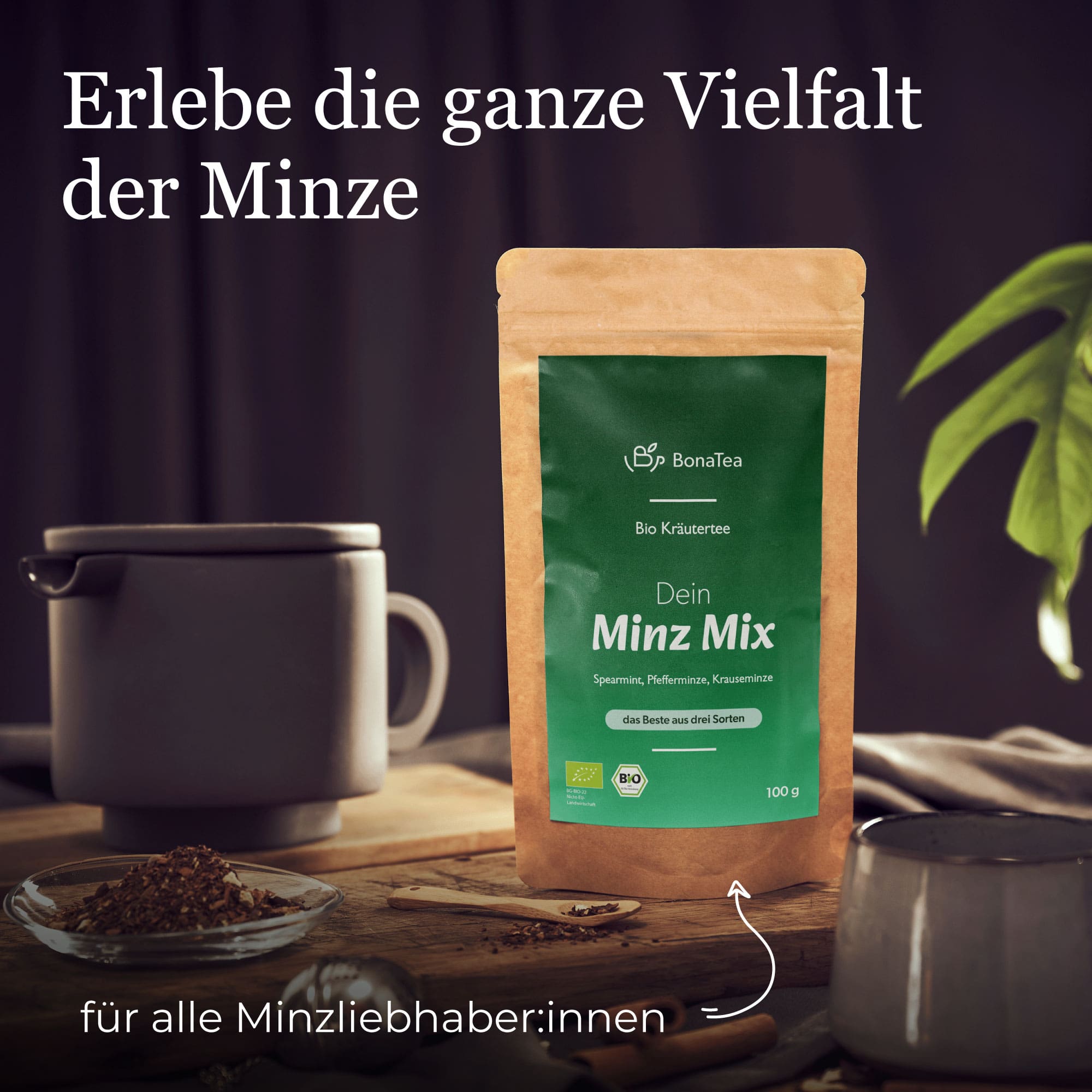 Dein Minz-Mix