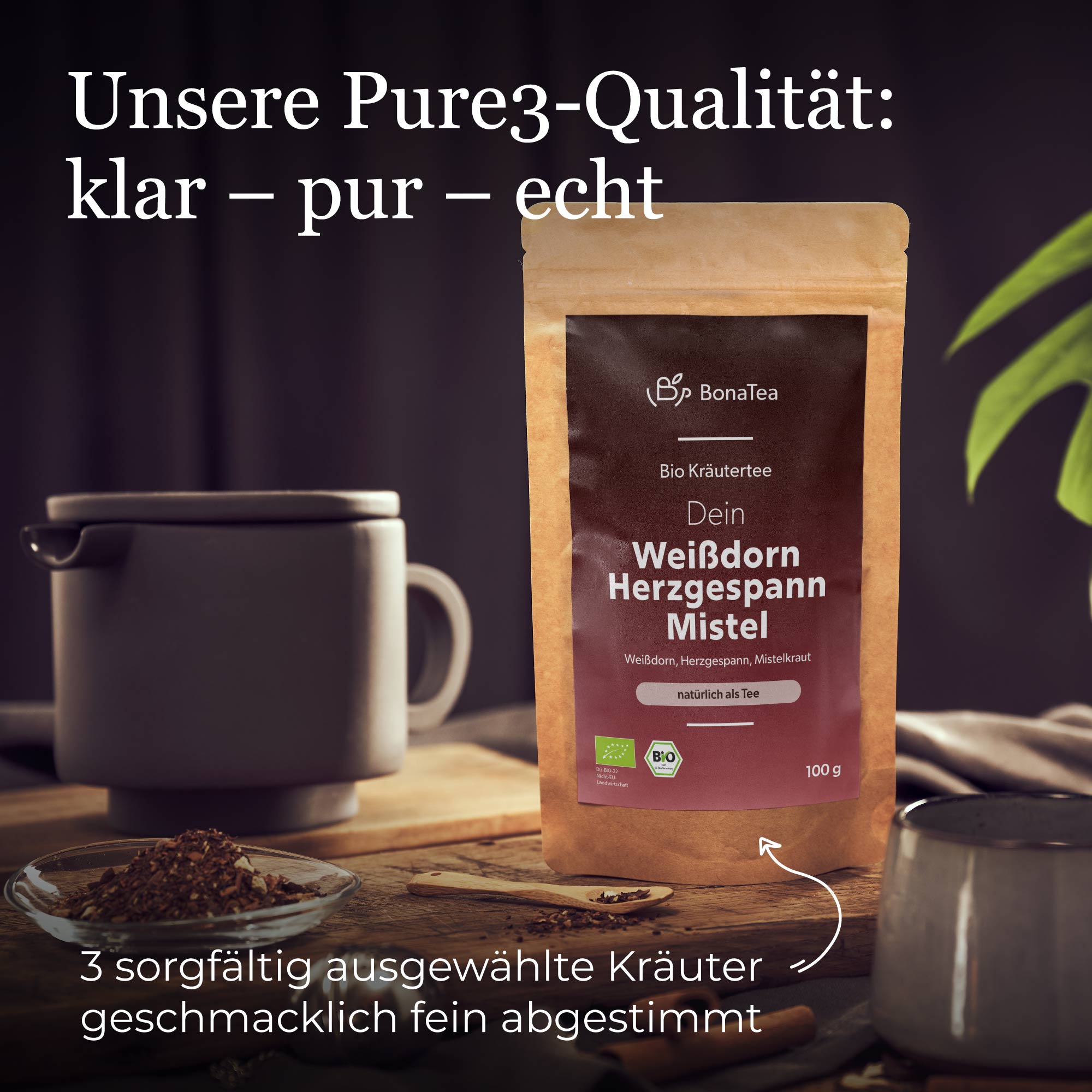 Dein Weißdorn-Herzgespann-Mistel