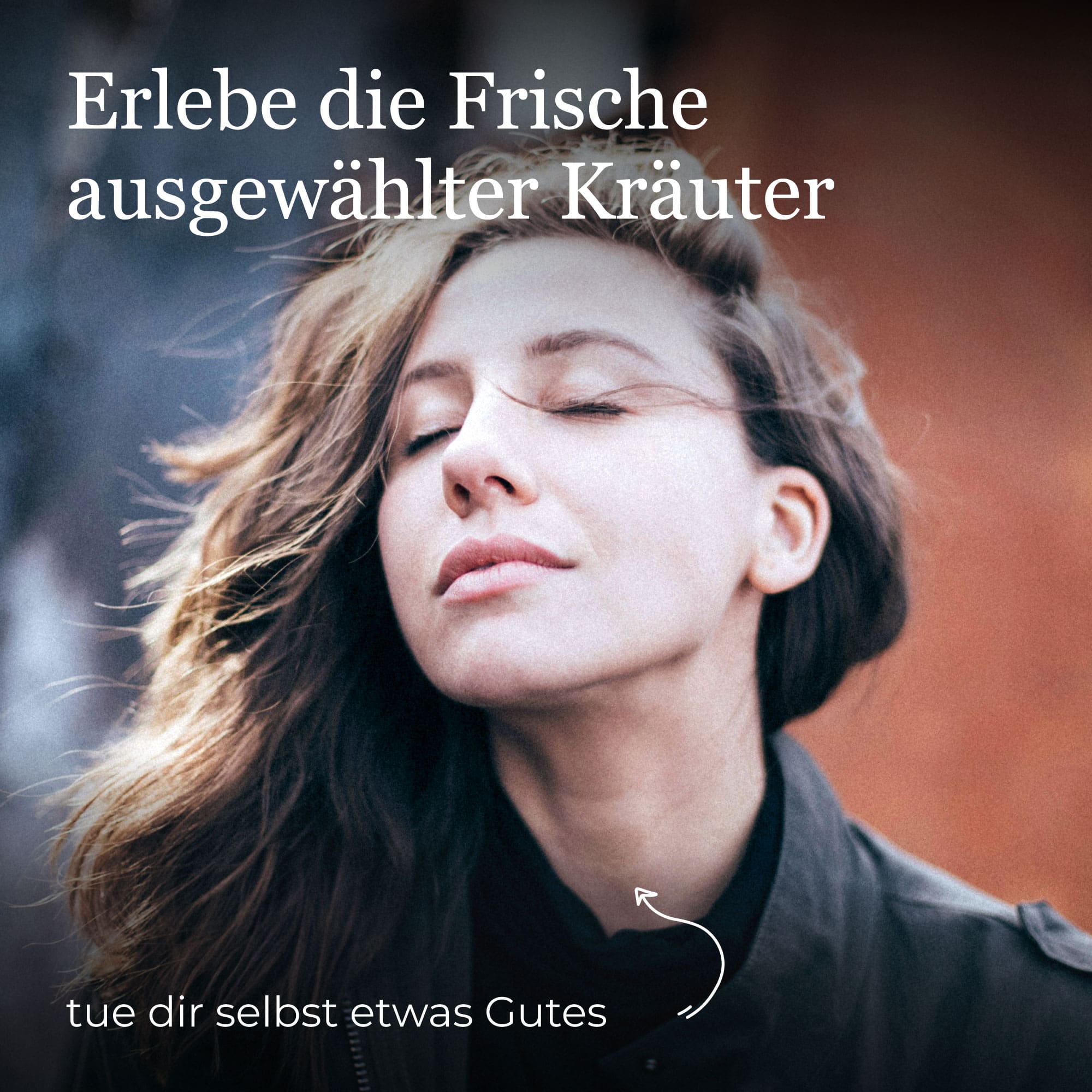 Deine Ätherischen Kräuter