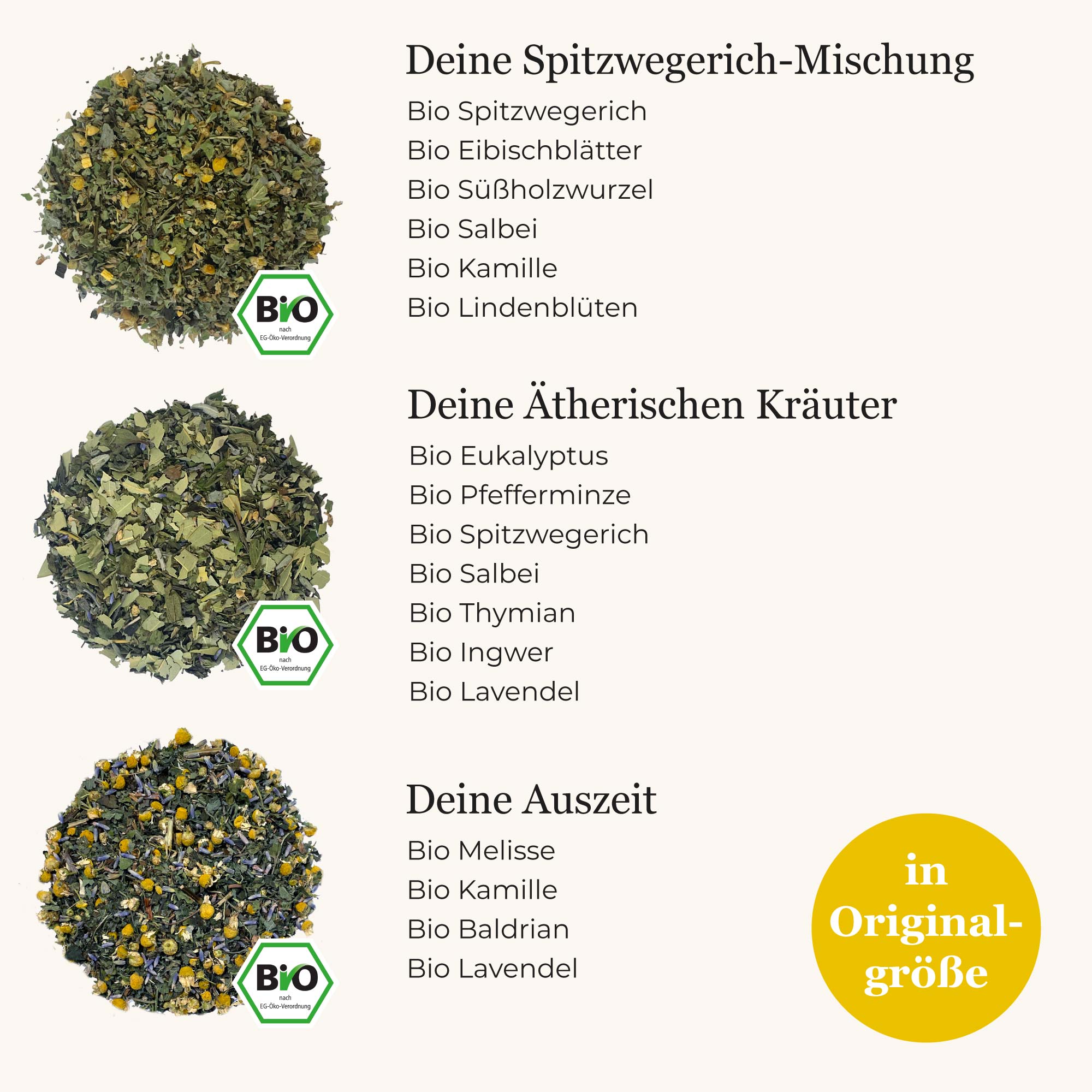 Dein Kalte Jahreszeit Set