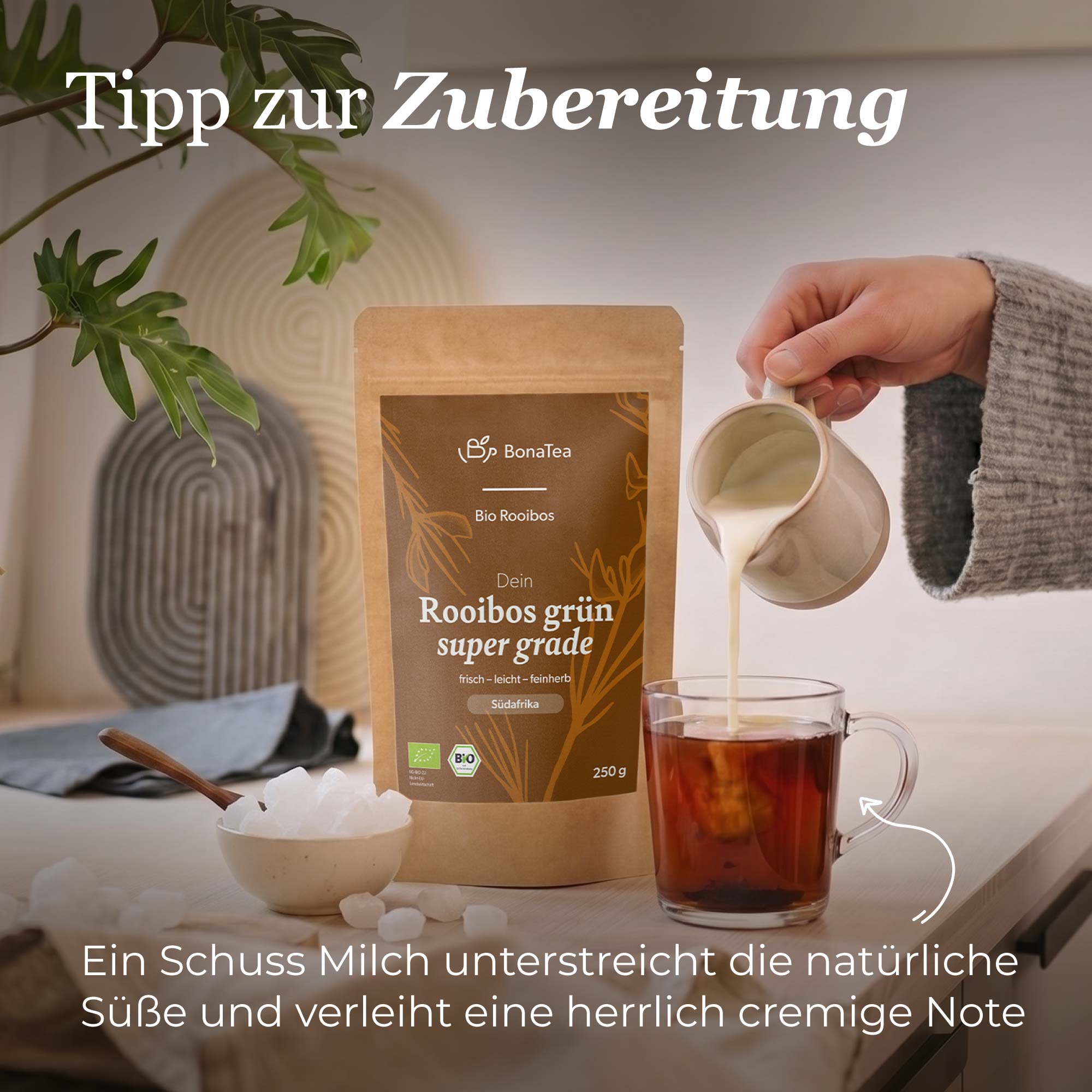 Dein Rooibos grün