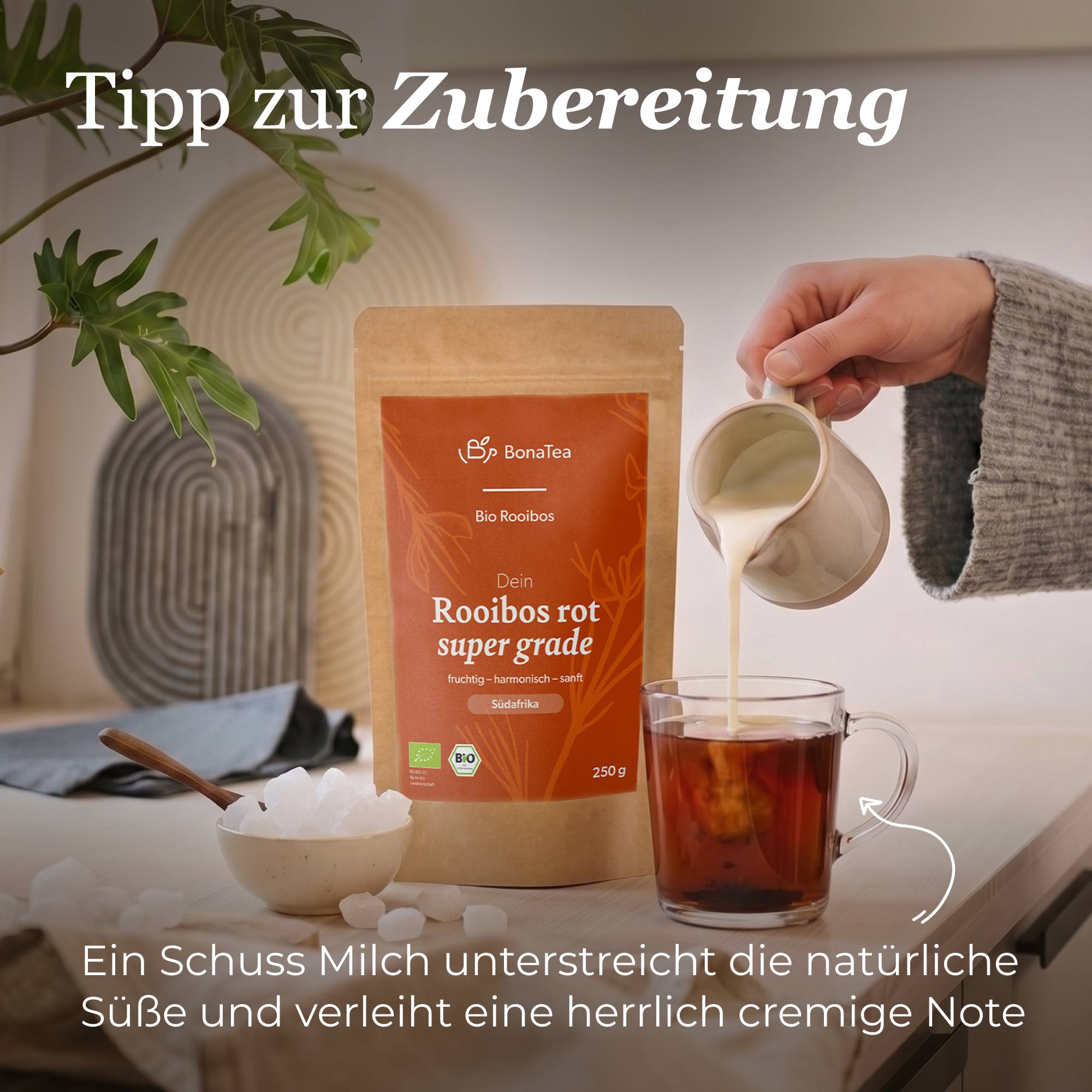 Dein Rooibos rot