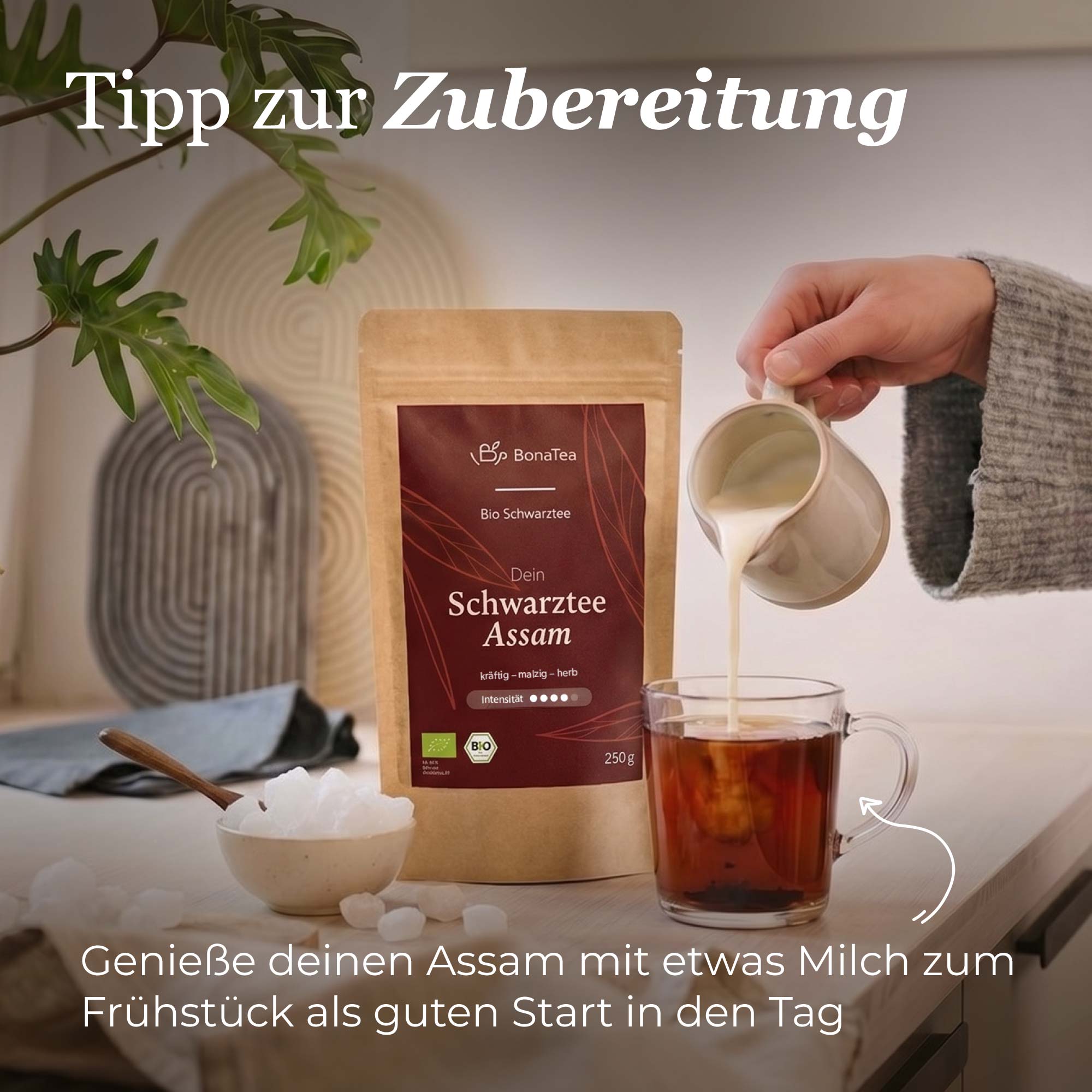 Dein Schwarztee Assam