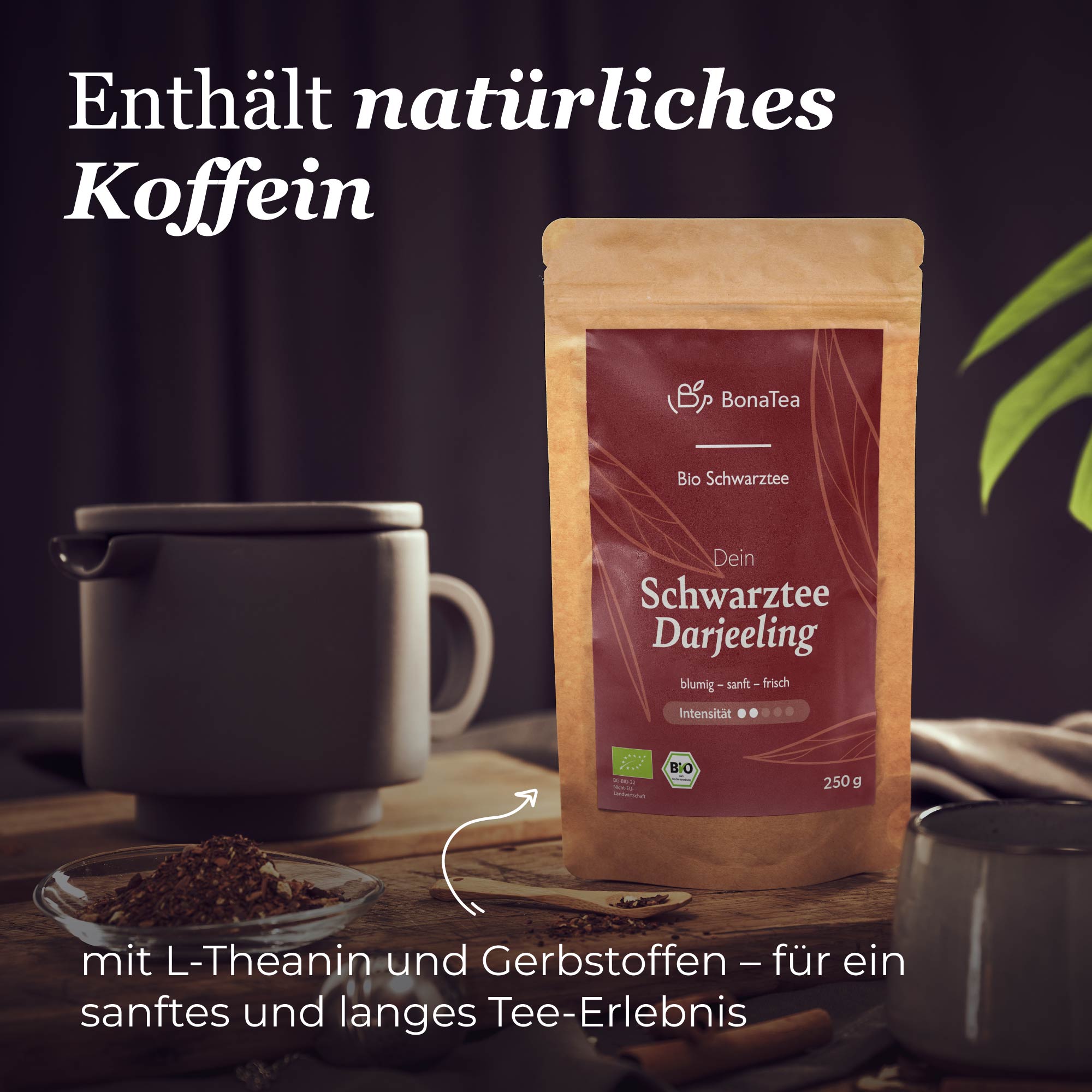 Dein Schwarztee Dajeeling