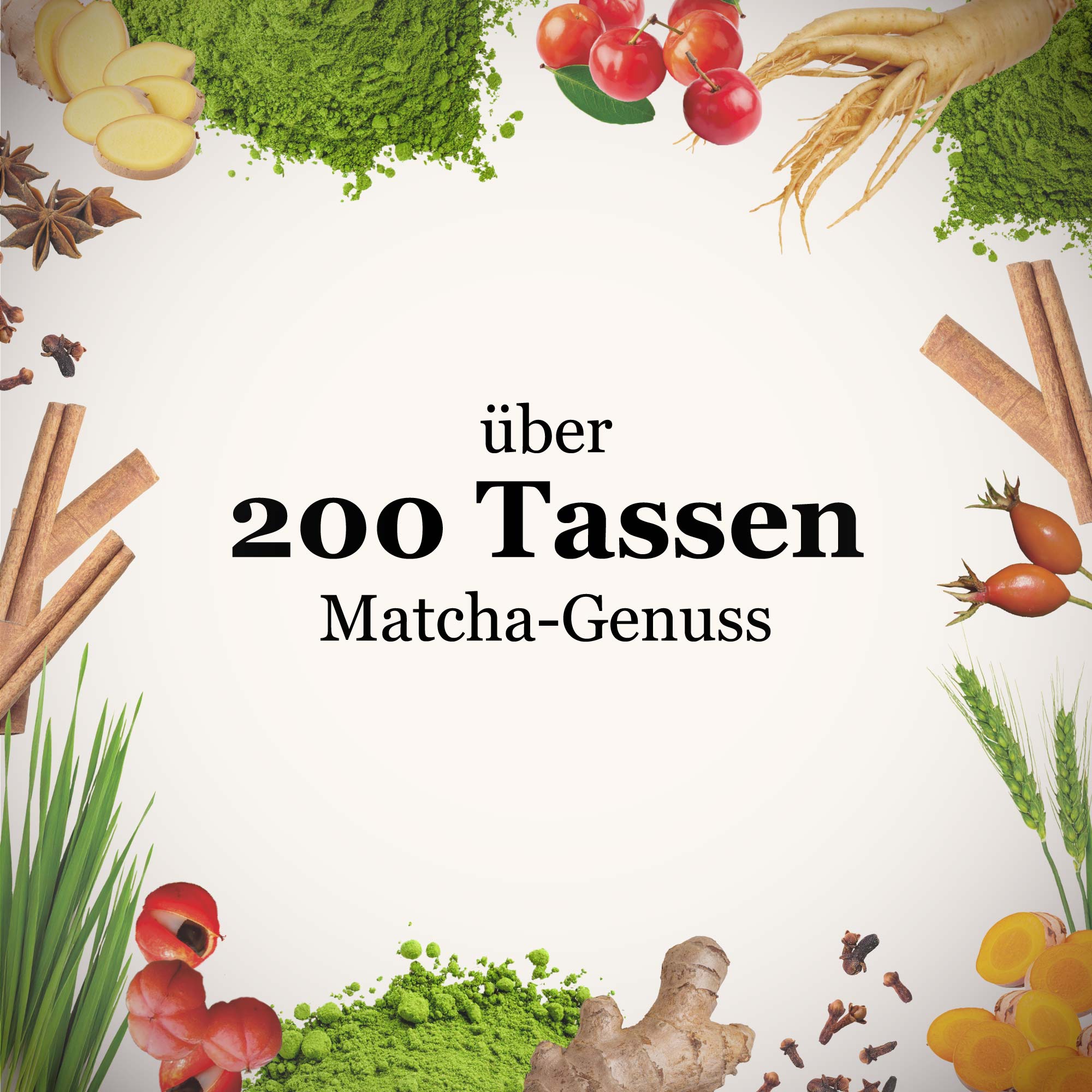 Dein Matcha⁺ Kennenlernset