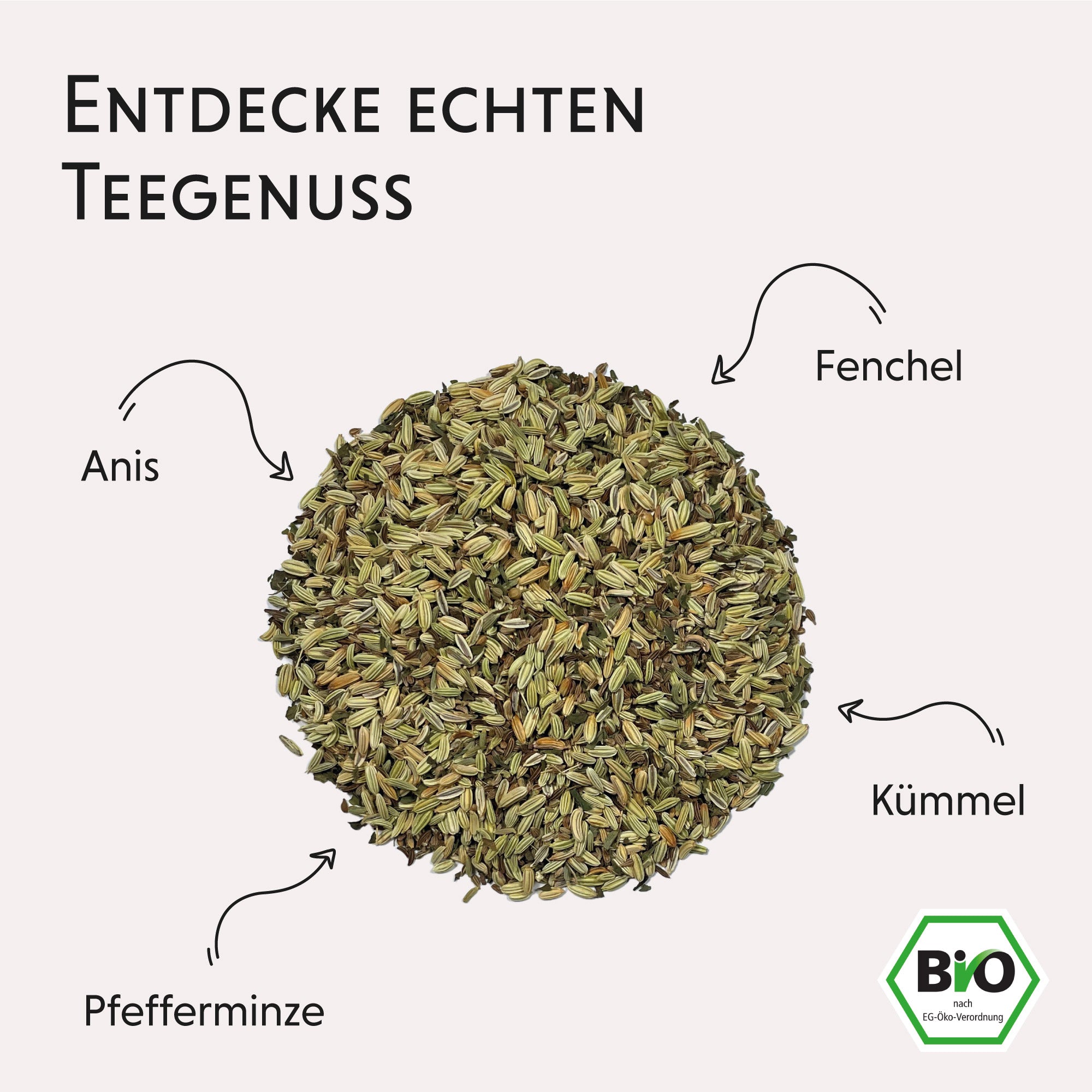 Dein Fenchel-Anis-Kümmel