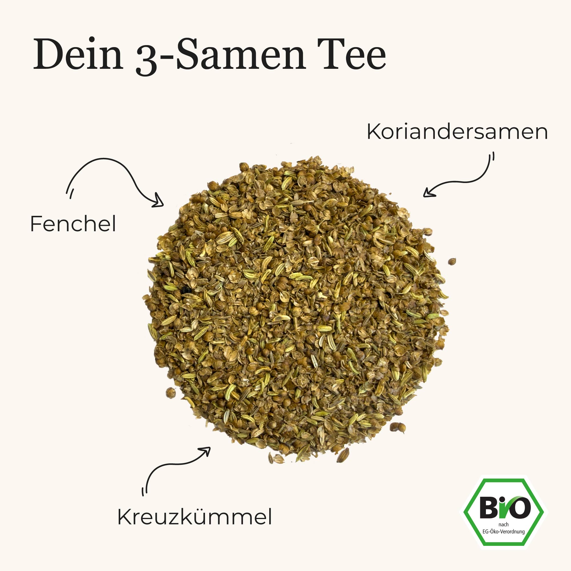 Dein Koriander-Fenchel-Kreuzkümmel