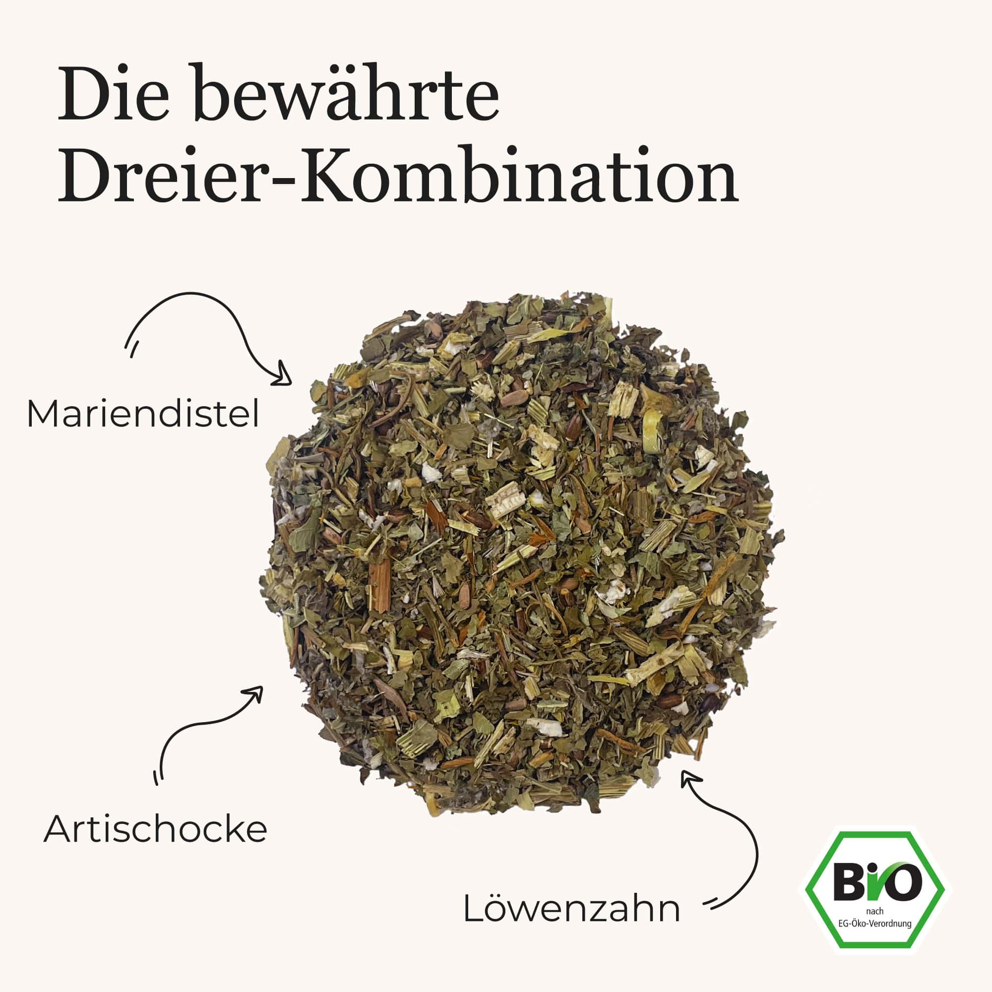 Dein Mariendistel Artischocke Löwenzahn