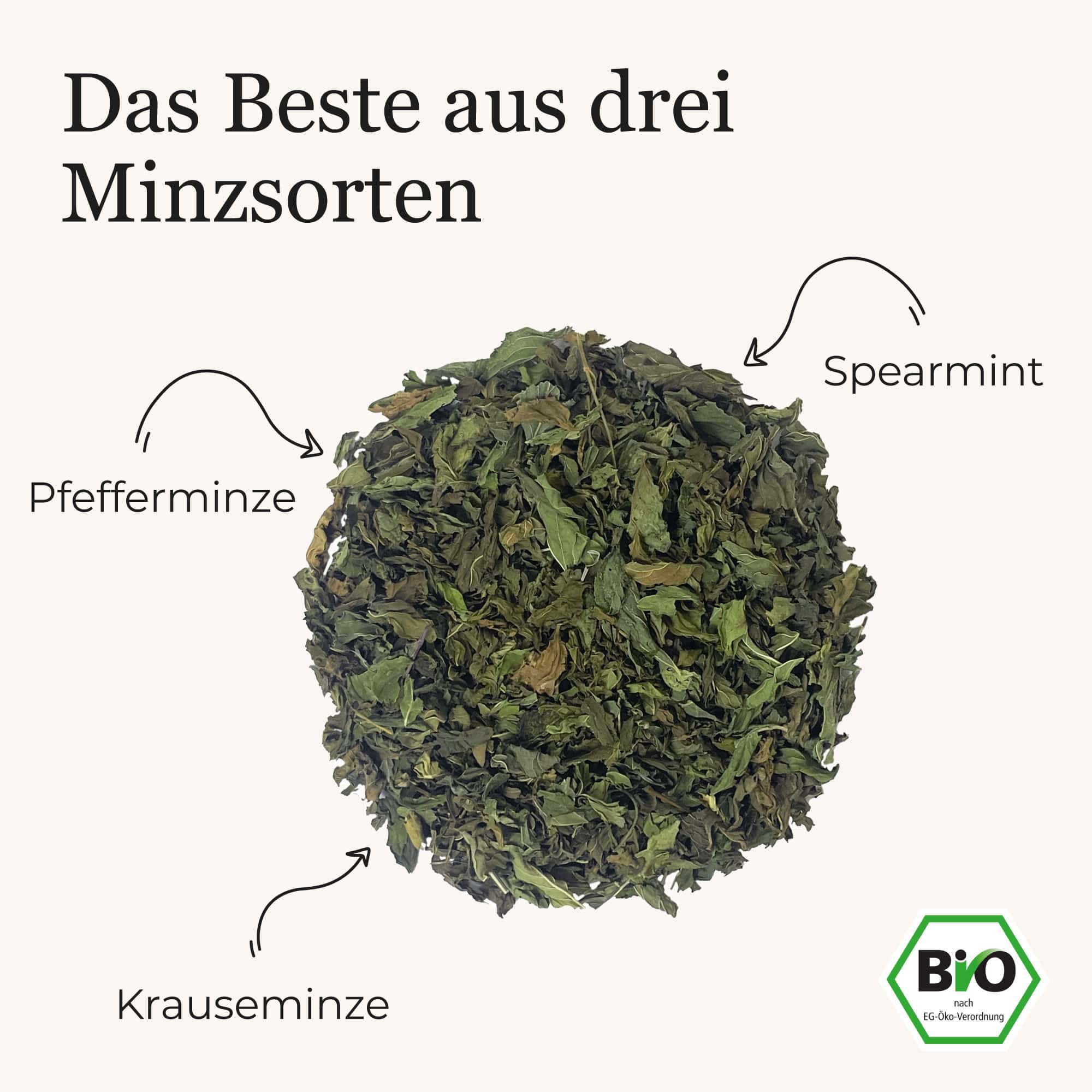 Dein Minz-Mix