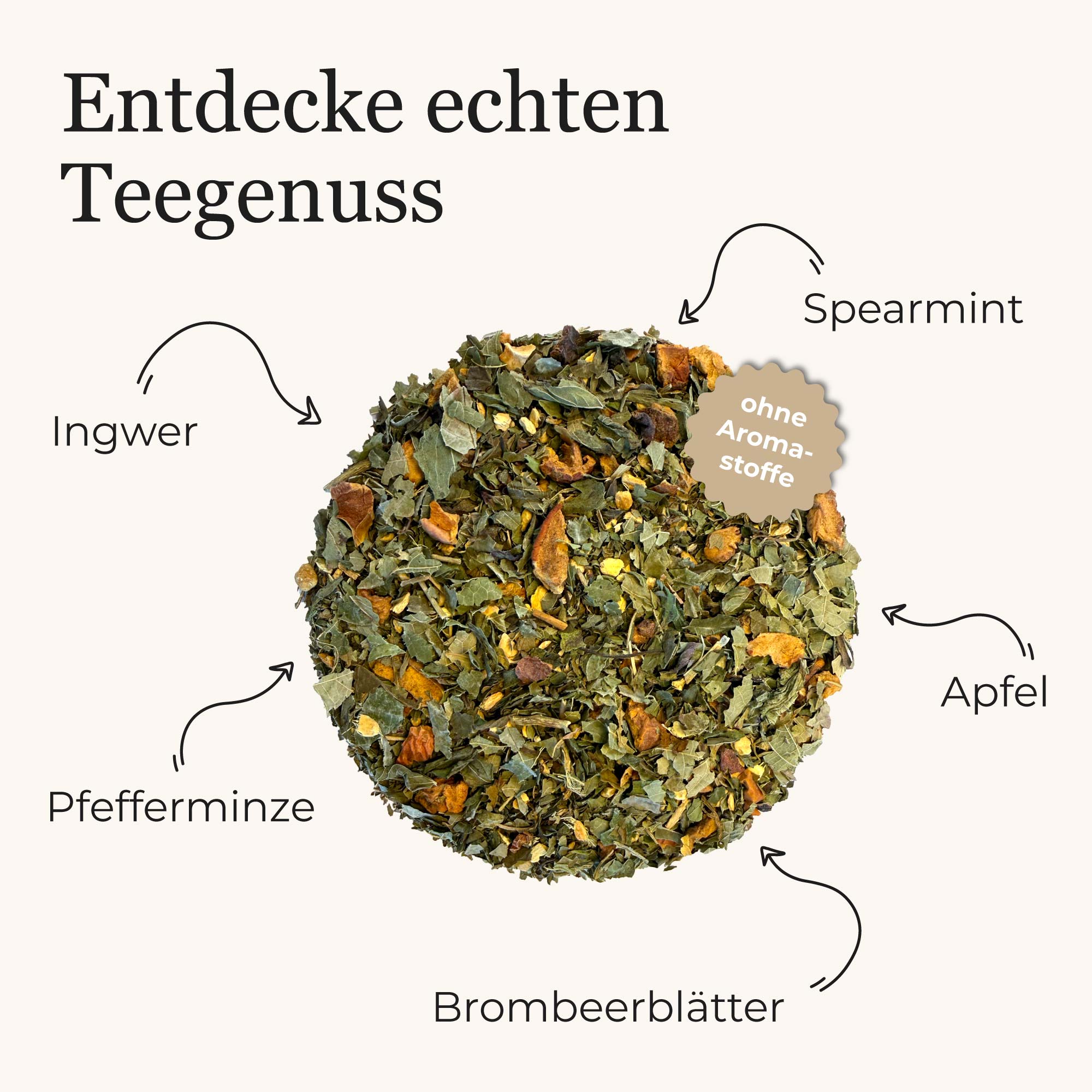 Dein Minze Ingwer
