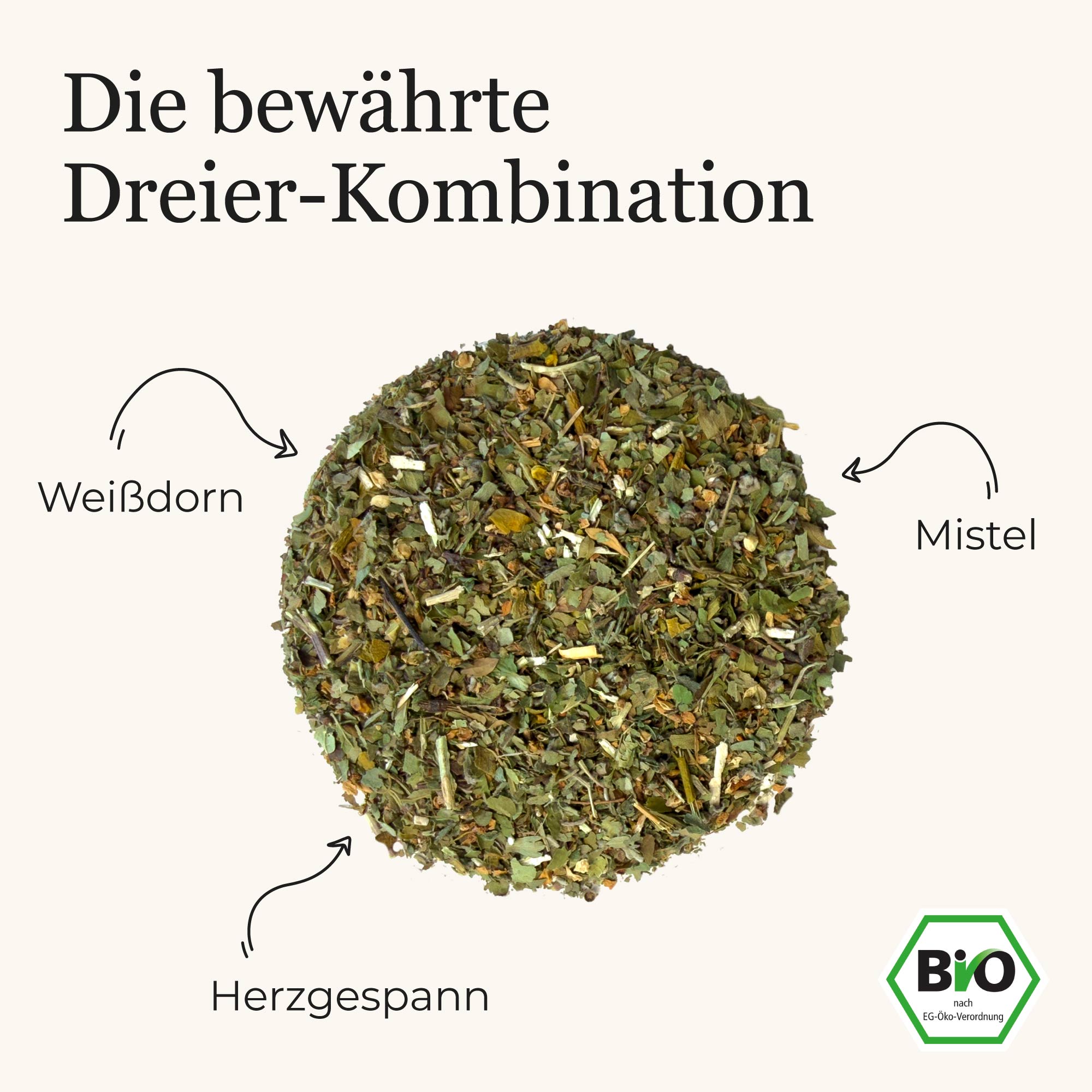 Dein Weißdorn-Herzgespann-Mistel