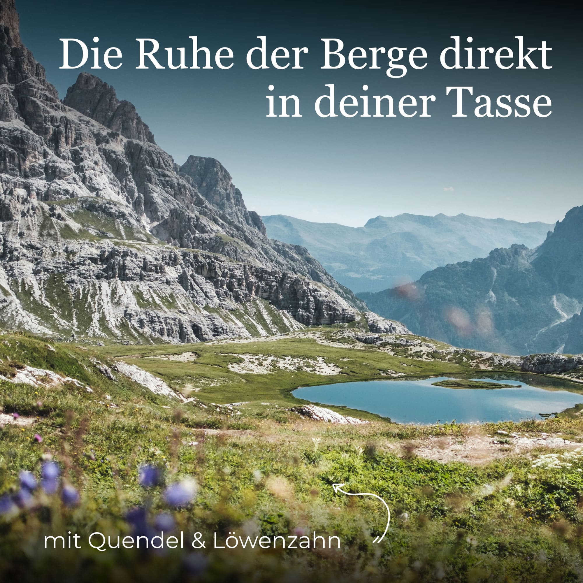 Deine Alpenkräuter