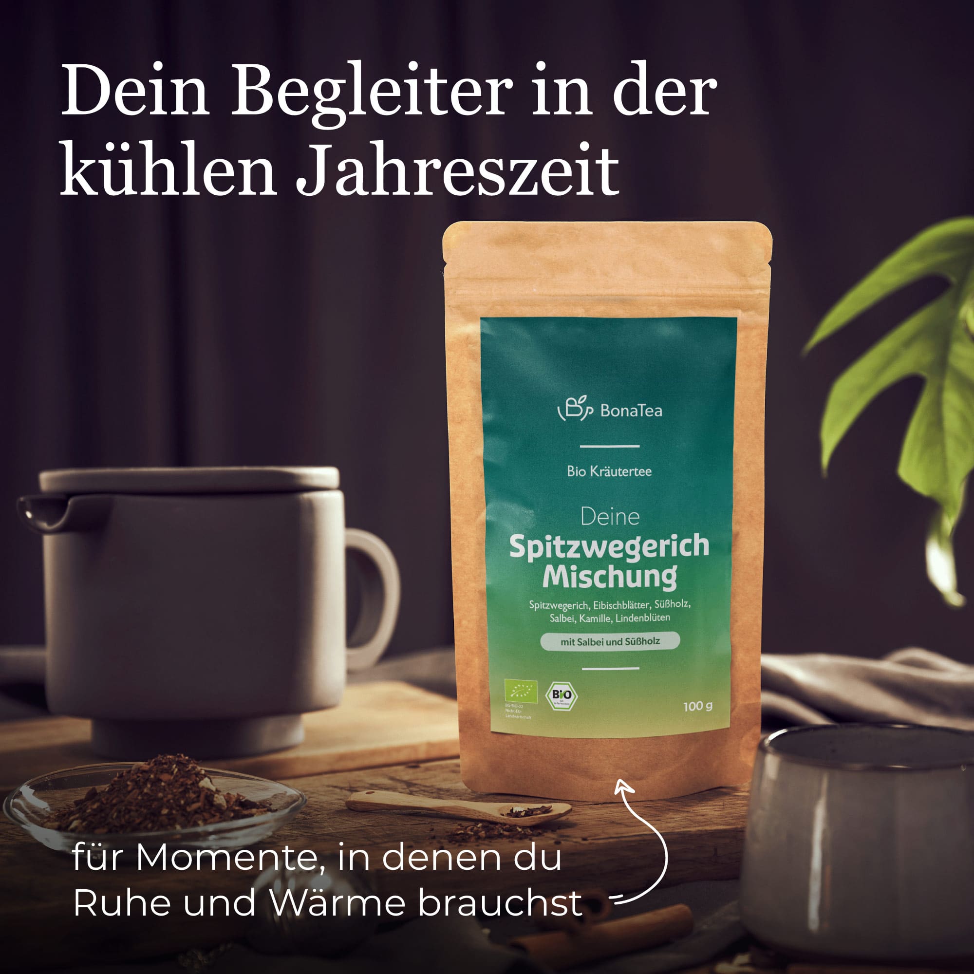Deine Spitzwegerich Mischung