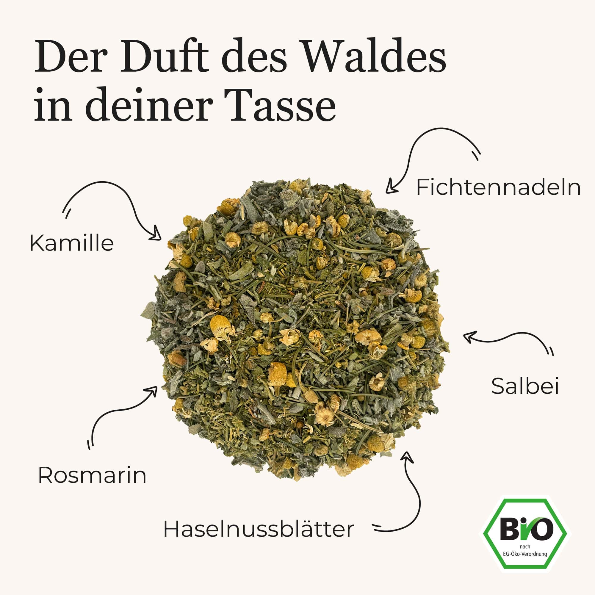 Deine Waldkräuter