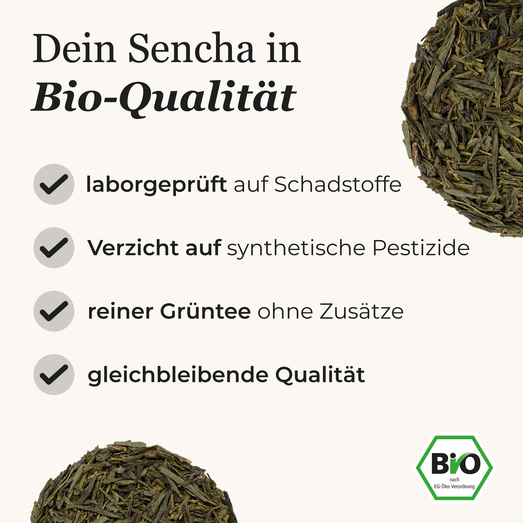 Dein Grüntee Sencha
