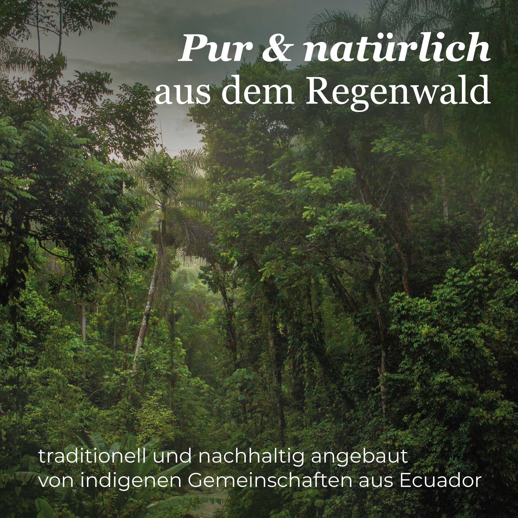 #Variante_schwarz
