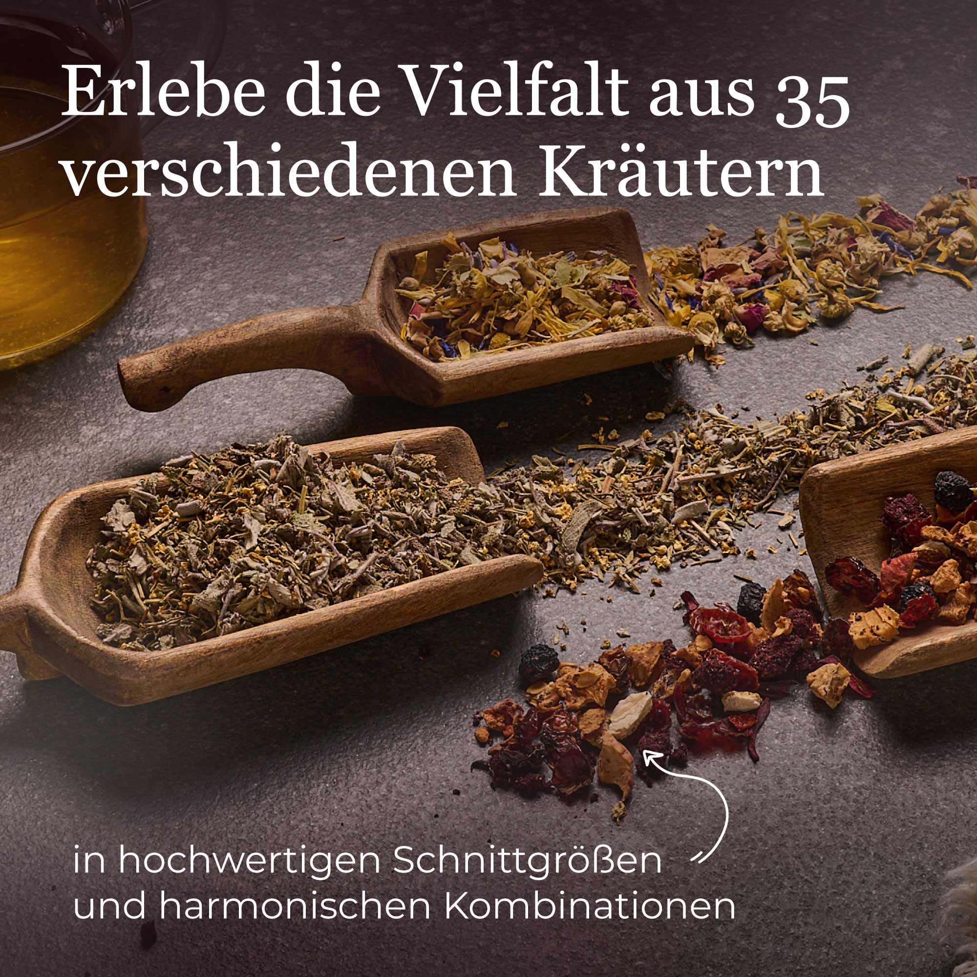 Dein BonaTea Bestseller Set