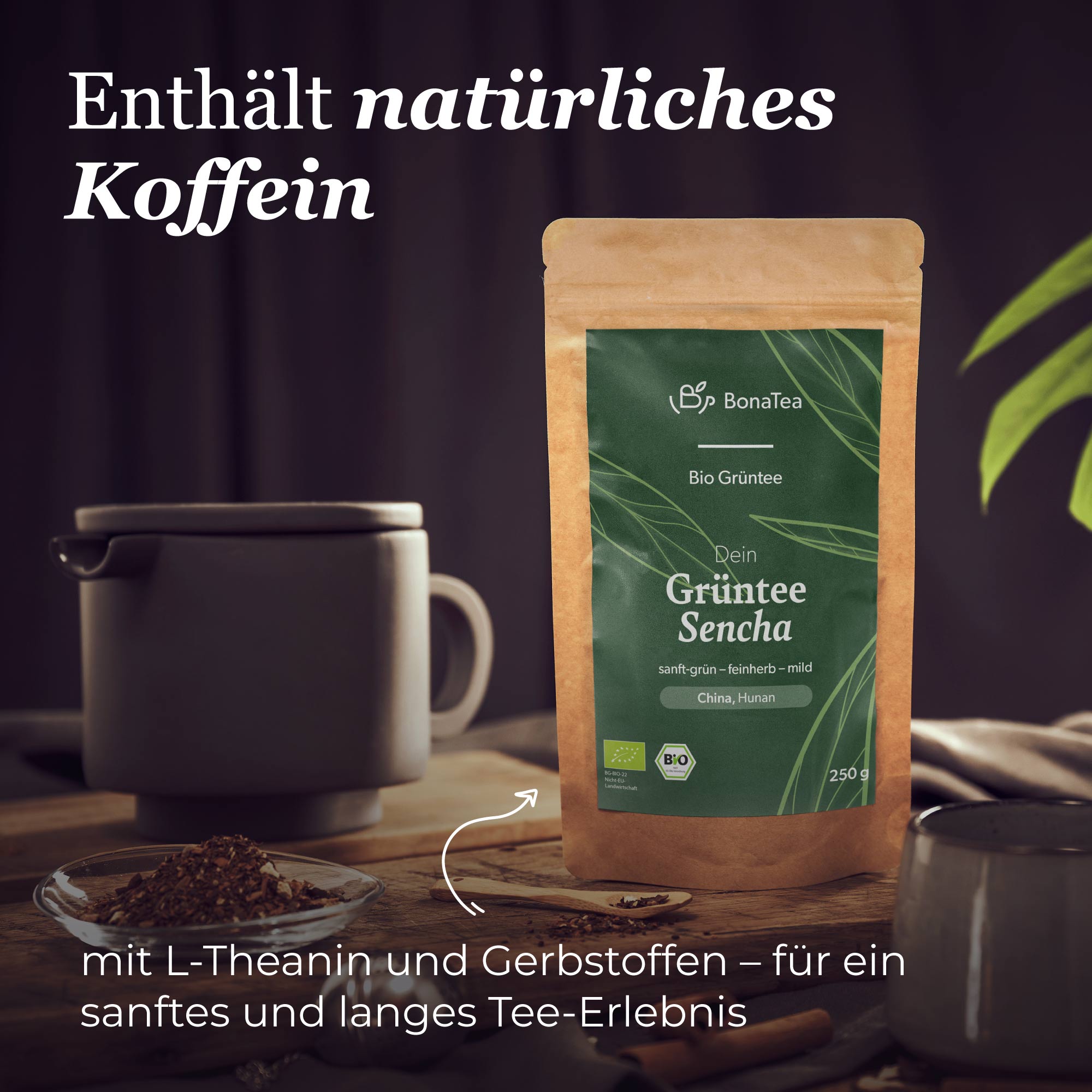Dein Grüntee Sencha