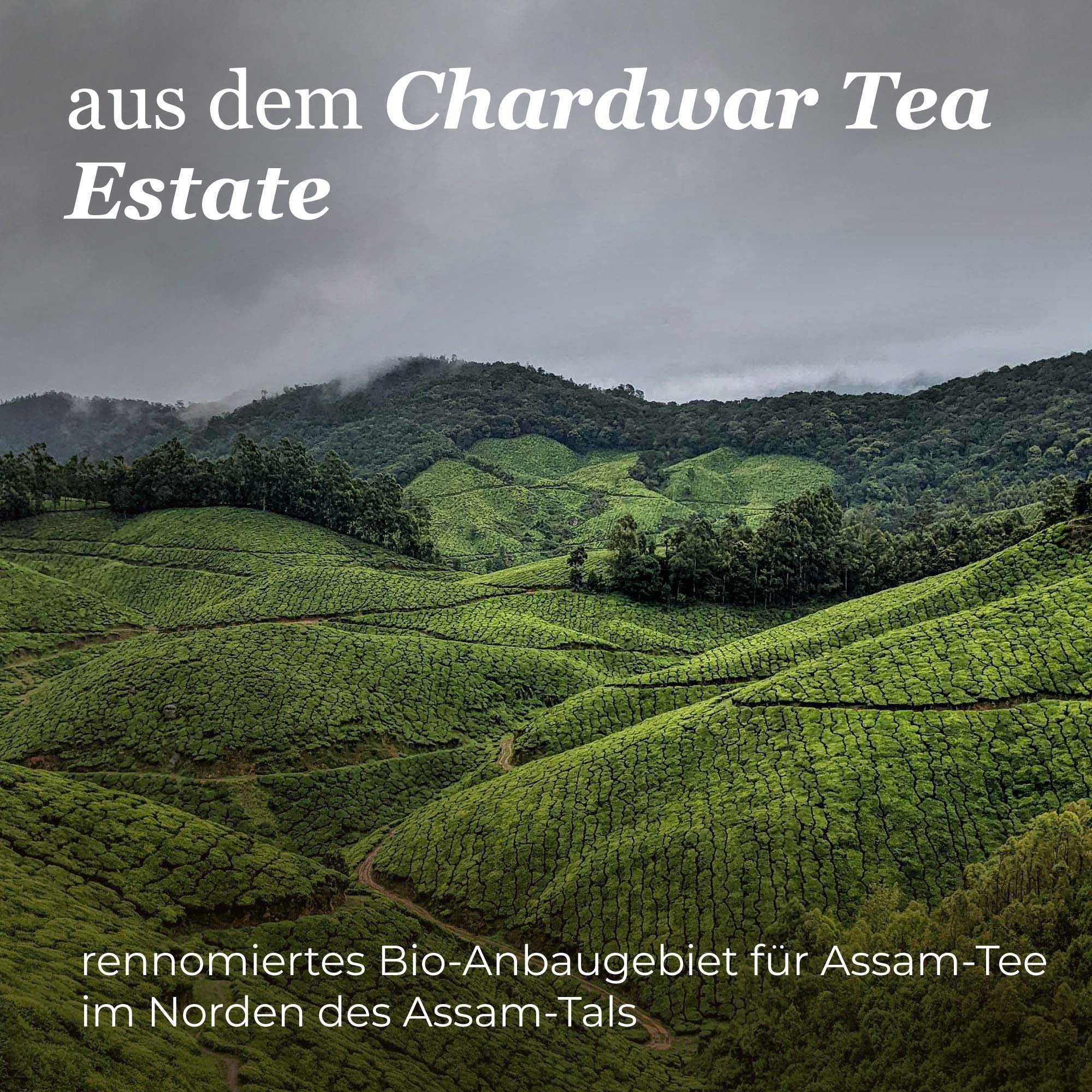 Dein Schwarztee Assam