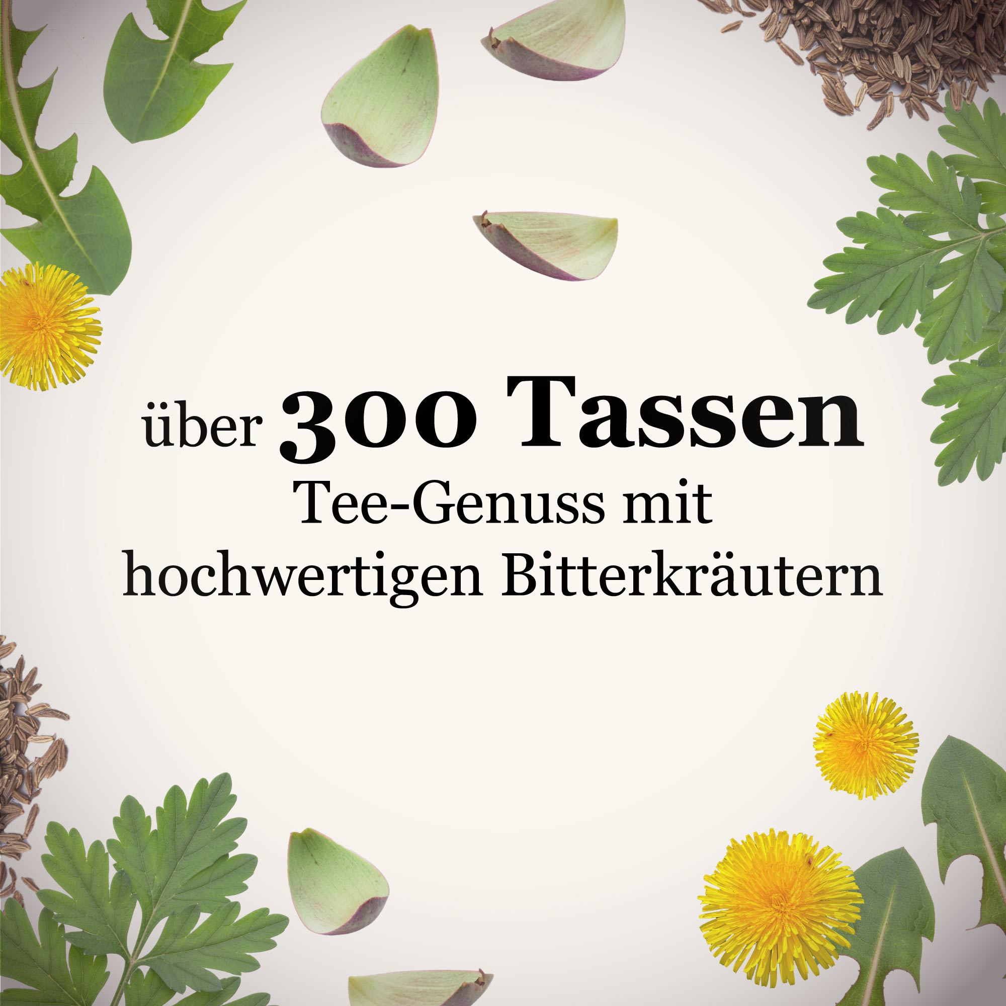 Dein Bittertee Starterset