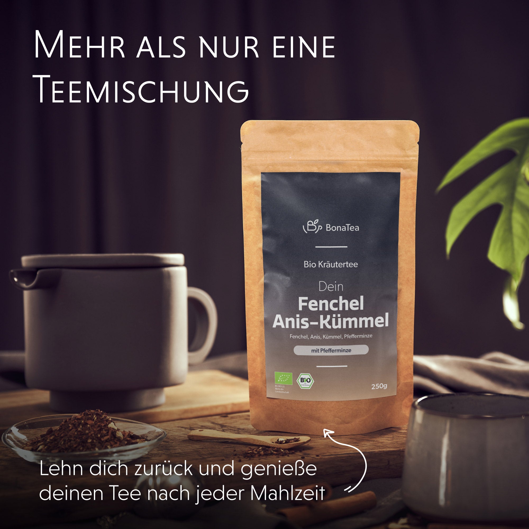 Dein Fenchel-Anis-Kümmel