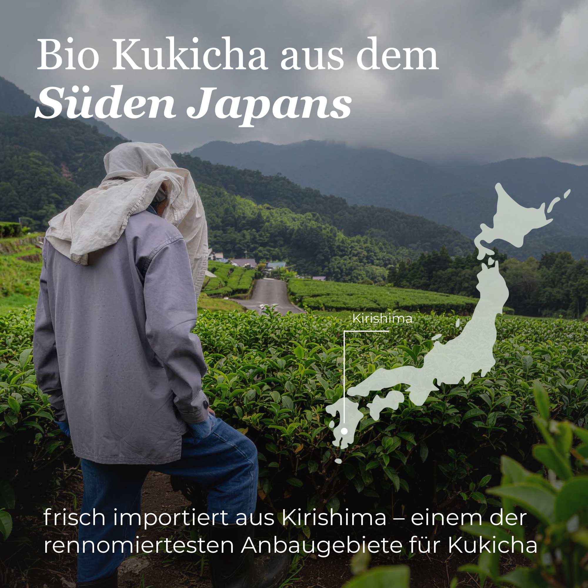 Dein Grüntee Japan Kukicha