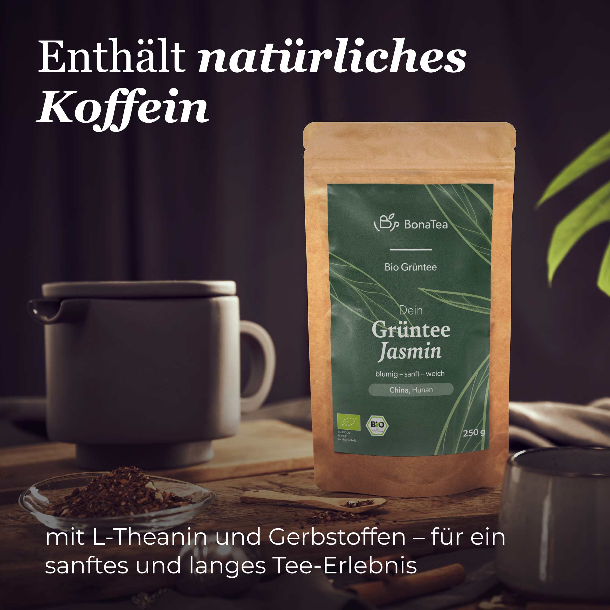Dein Grüntee Jasmin