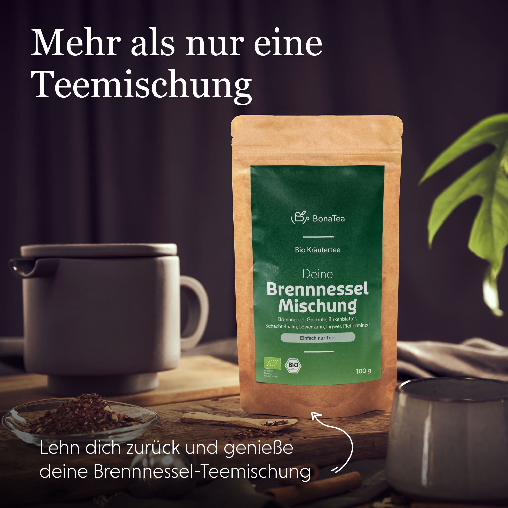 Deine Brennnessel-Mischung