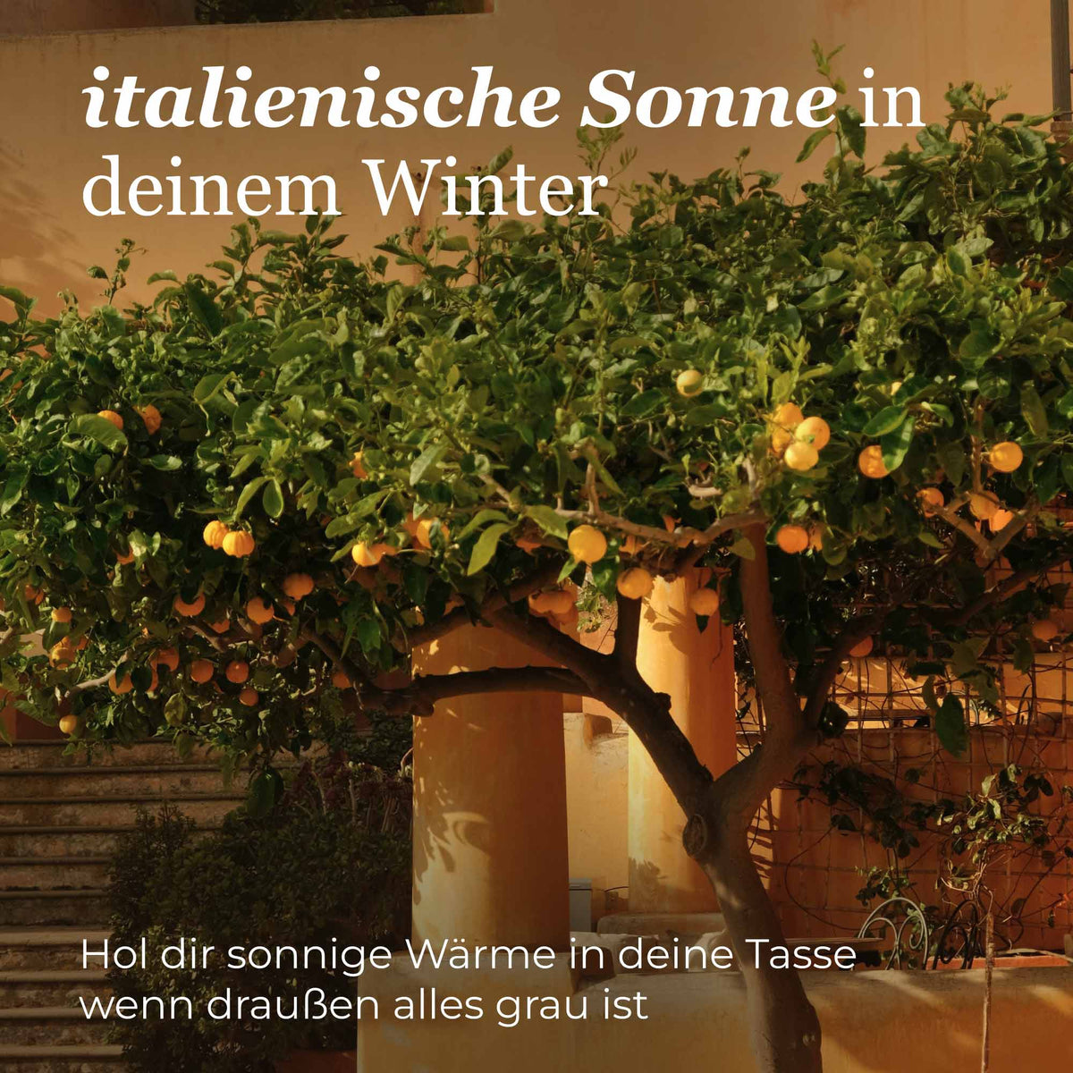 Deine Italienische Zitrone