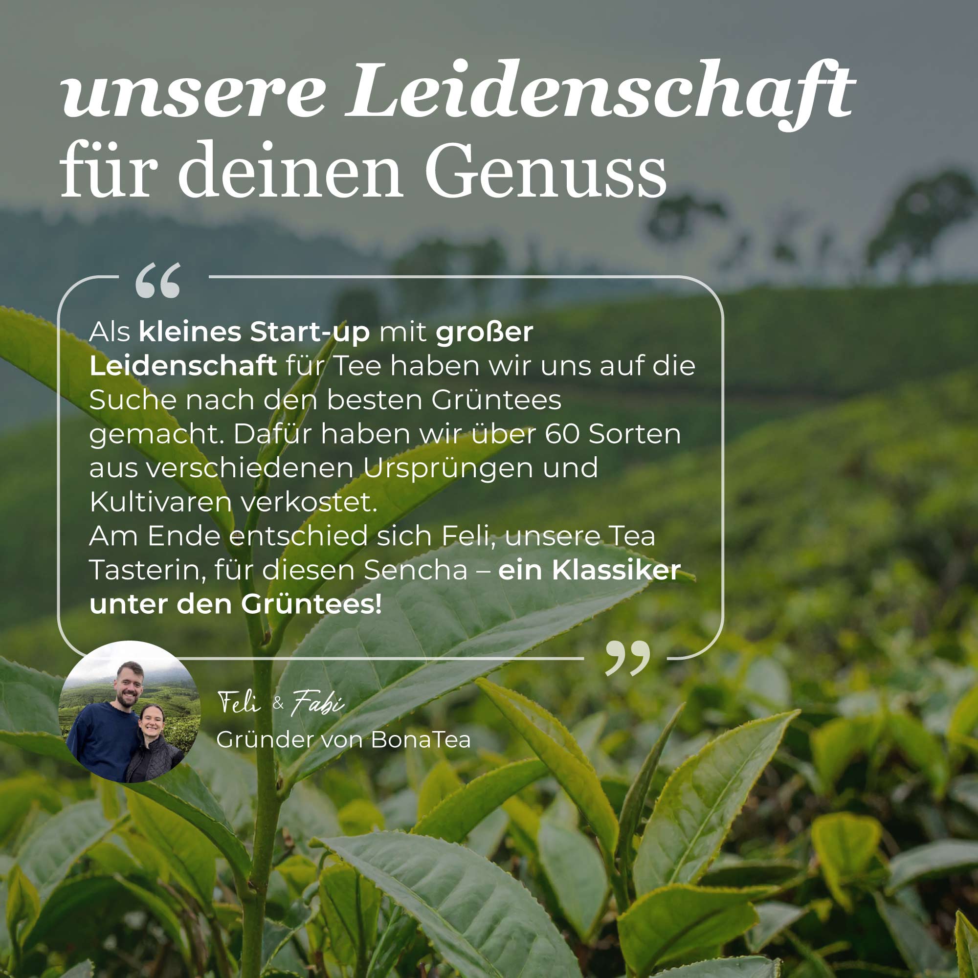 Dein Grüntee Sencha