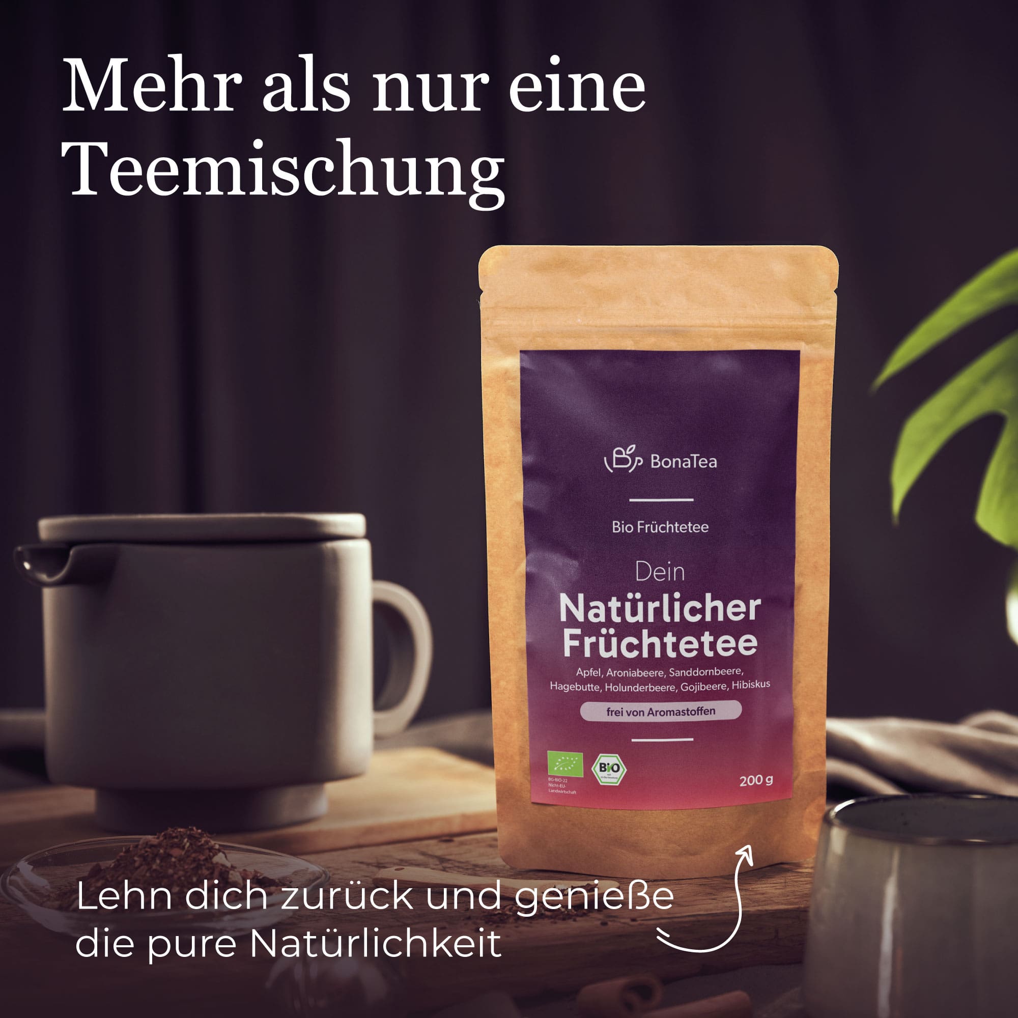 Dein Natürlicher Früchtetee