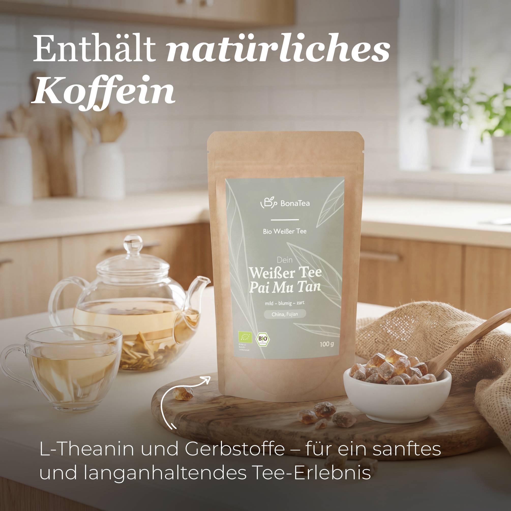 Dein Weißer Tee Pai Mu Tan