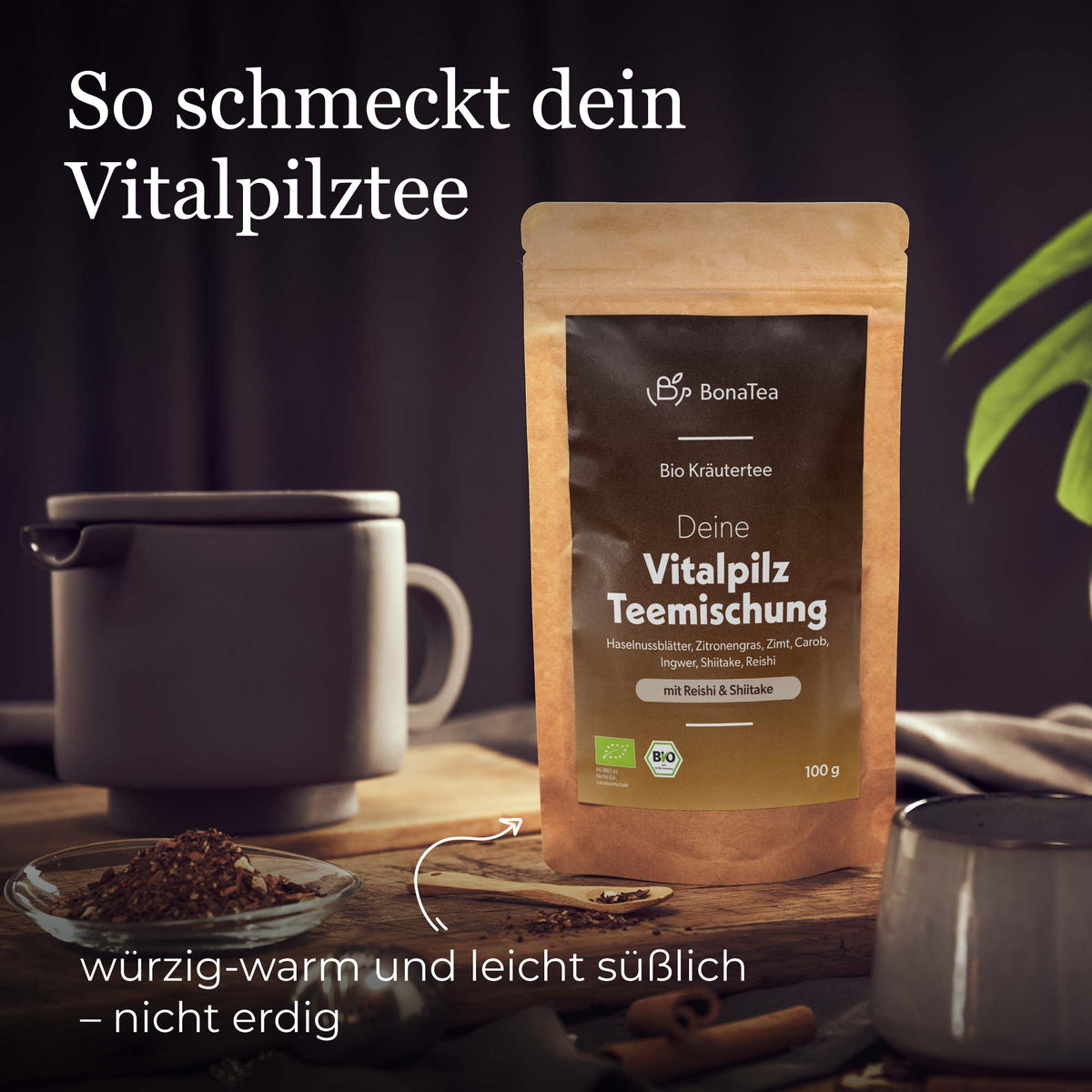 Deine Vitalpilz Teemischung