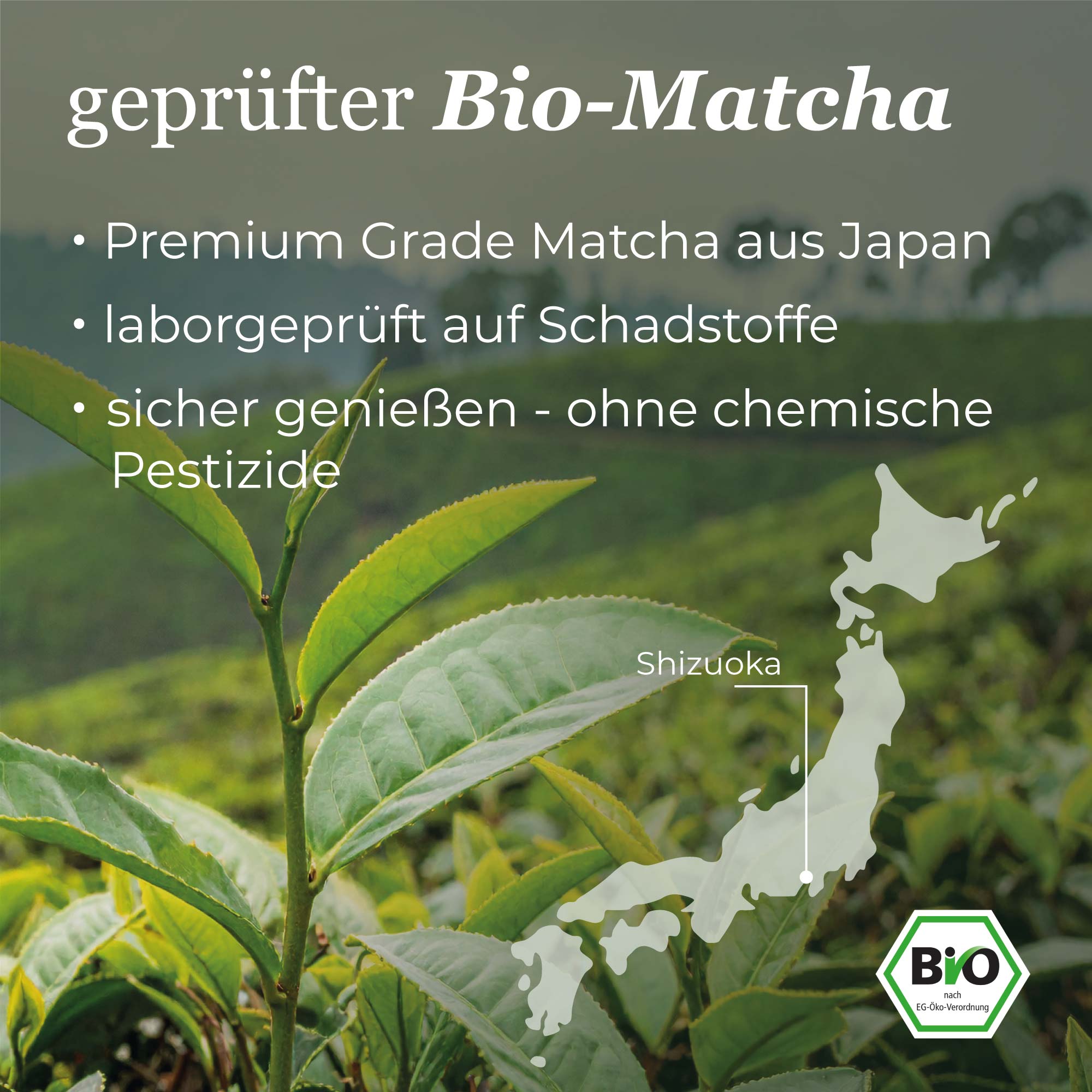 Dein Daily Green Matcha+