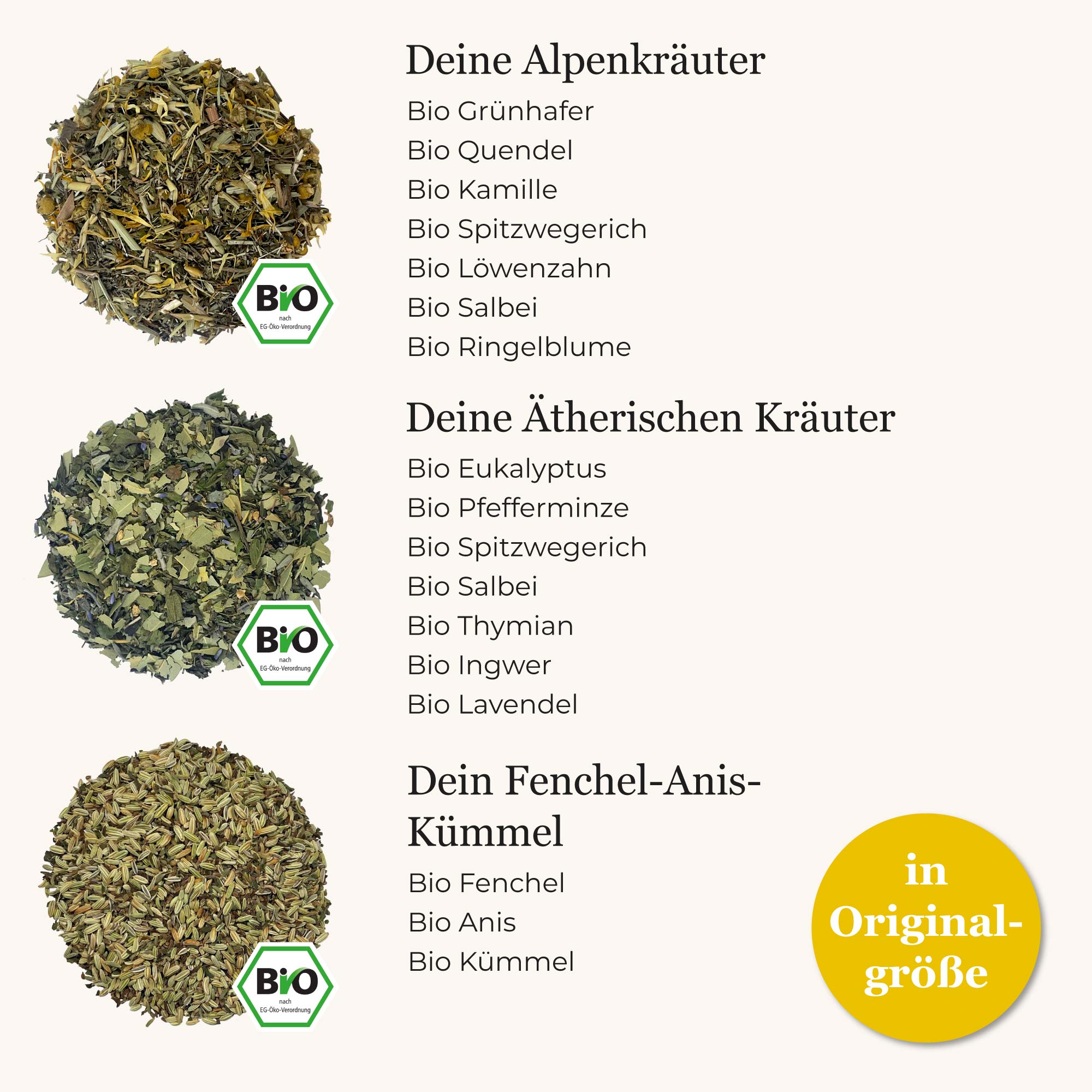 Dein BonaTea Bestseller Set