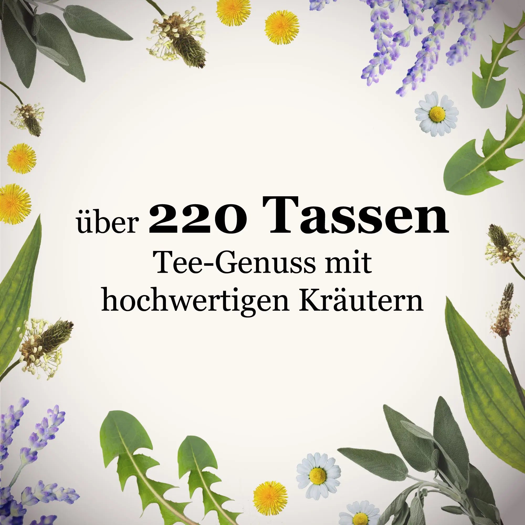 Dein Kräutertee Probierset