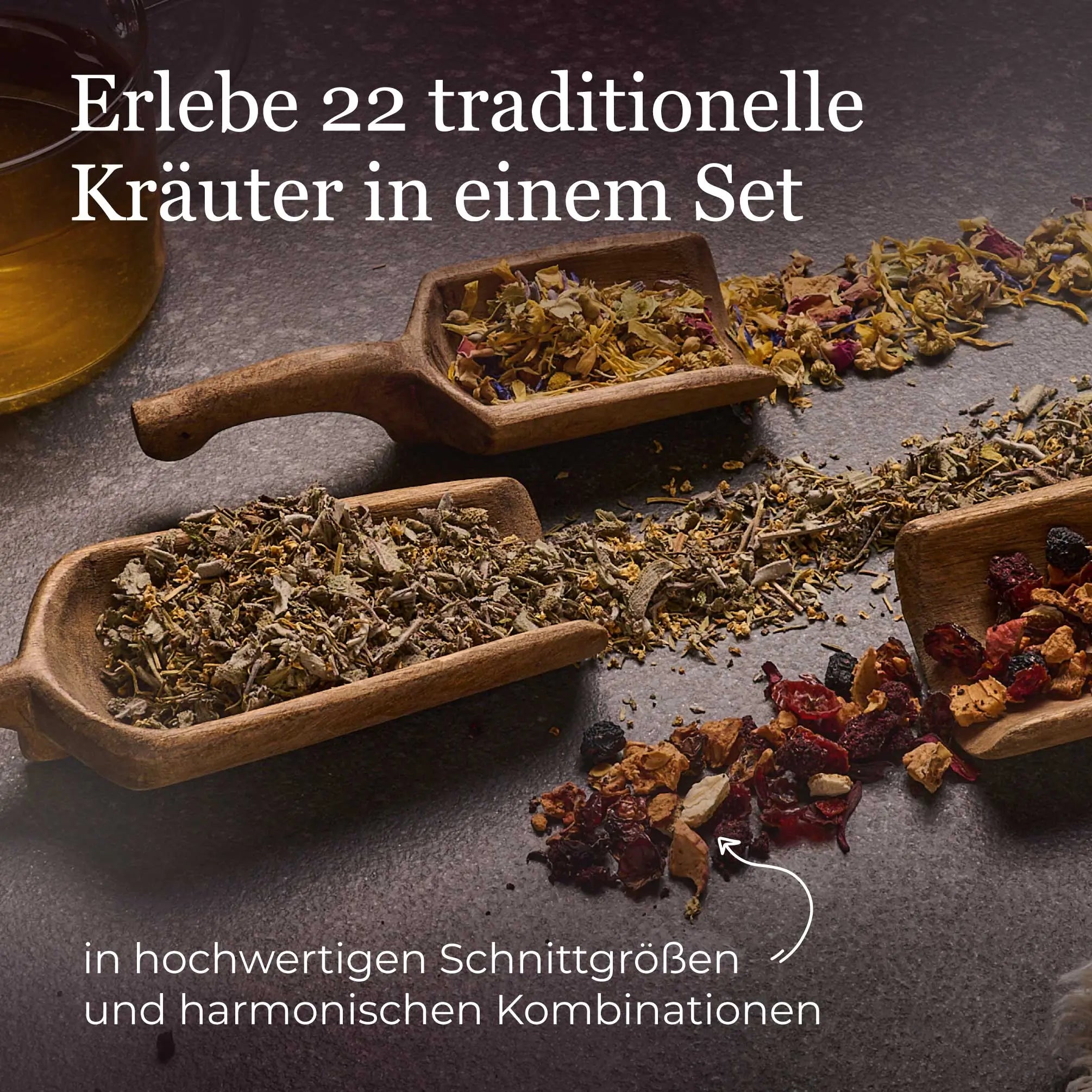 Dein Kräutertee Probierset